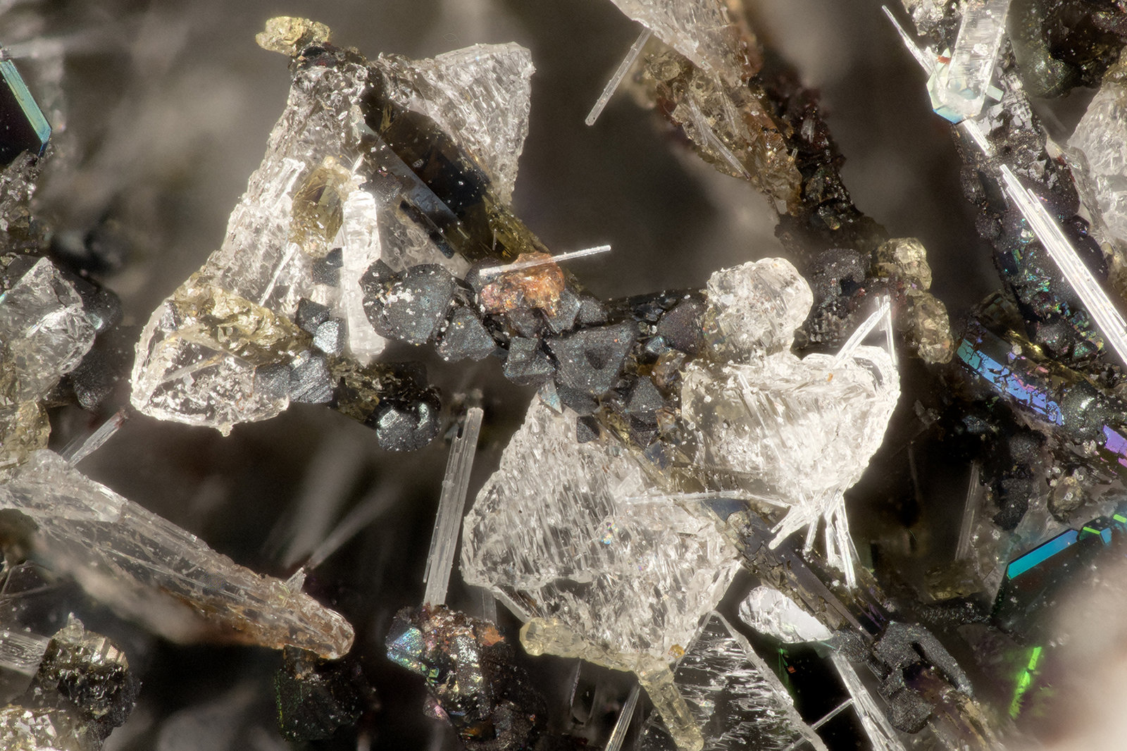 Hedenbergite, Albite, Fluorapatite, Ilmenite
FOV = 2.7 mm
(Autor: Doug)