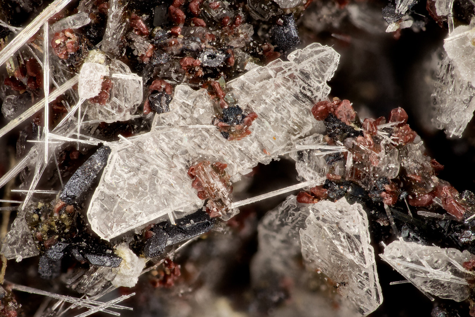 Albite
FOV = 3.2 mm
(Autor: Doug)
