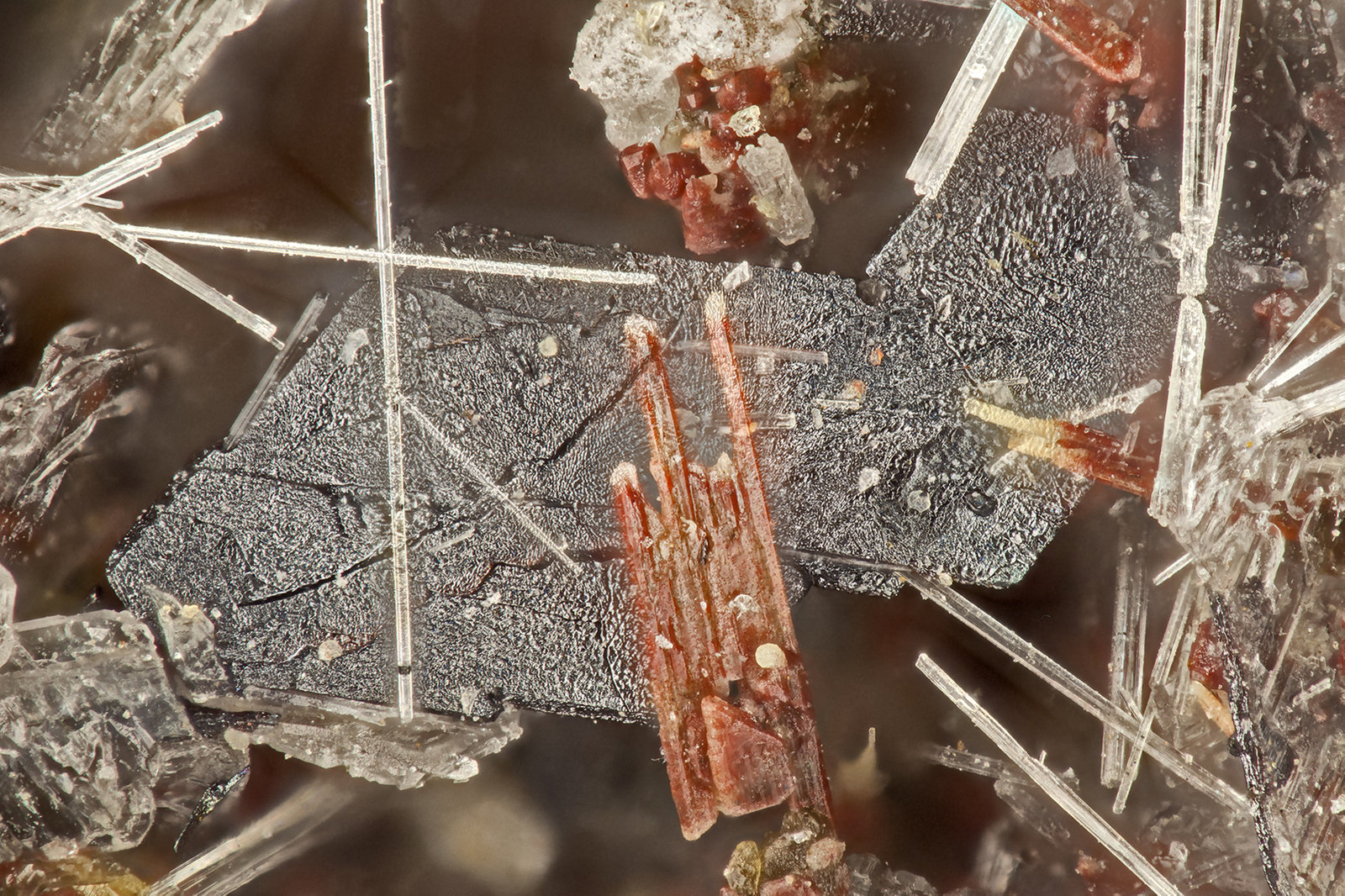 Ilmenite
FOV = 1.6 mm
(Autor: Doug)