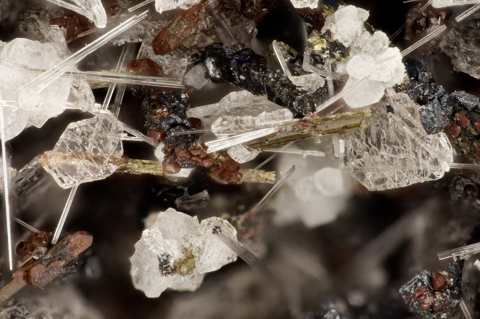 Hedenbergite
FOV = 3.1 mm
(Autor: Doug)
