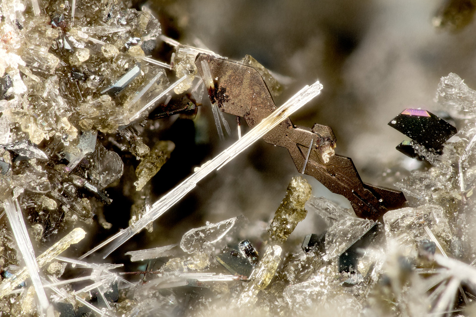 Ilmenite
FOV = 2.8 mm
(Autor: Doug)