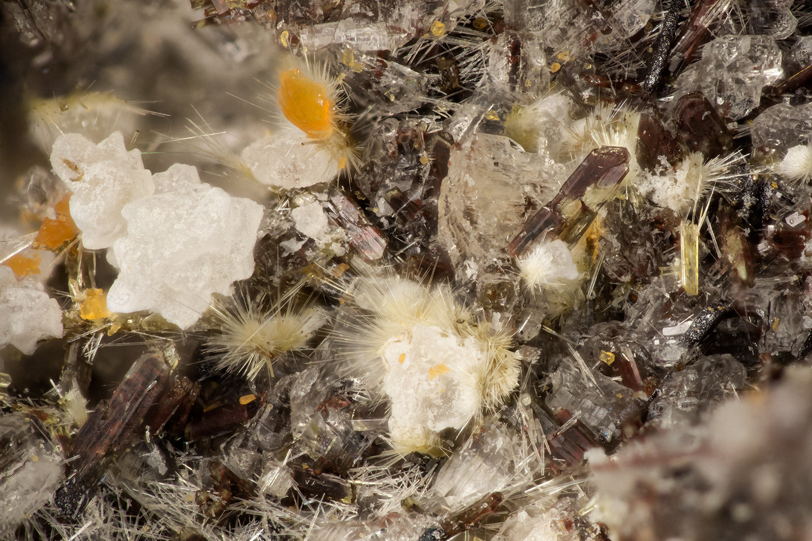 Aegirine
FOV = 3.3 mm
(Autor: Doug)