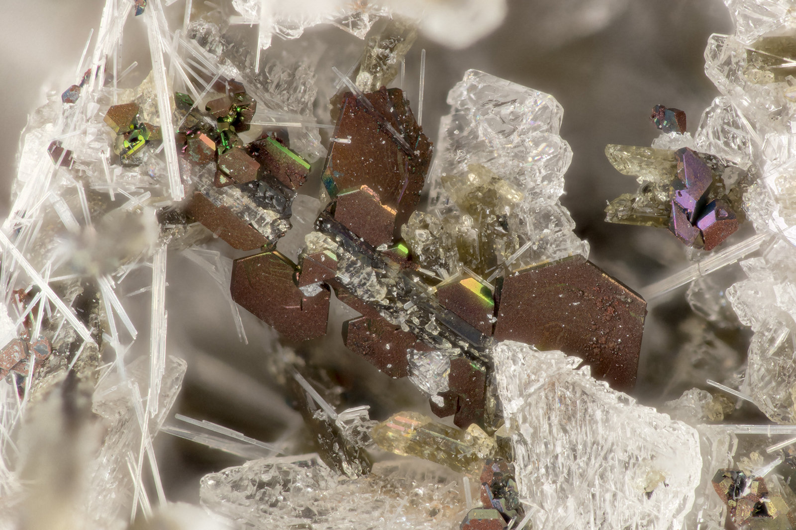 Ilmenite
FOV = 2.9 mm
(Autor: Doug)