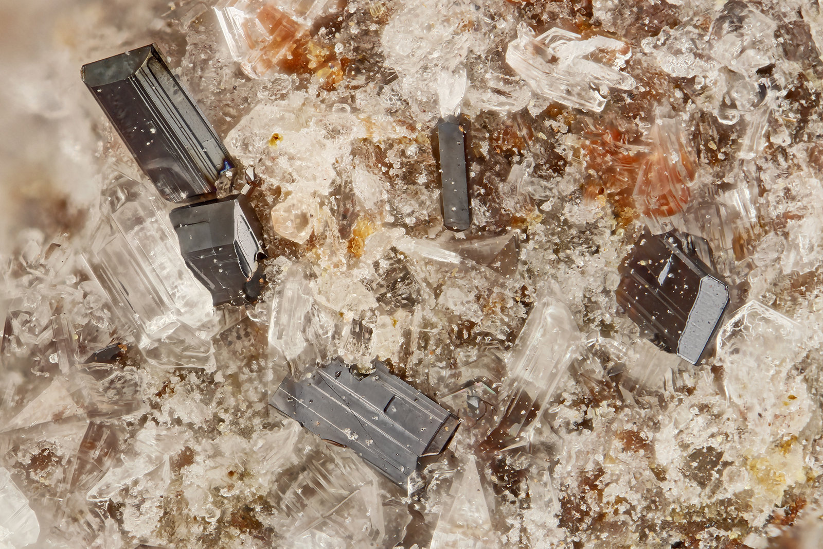 Pseudobrookite
FOV = 1.8 mm
(Autor: Doug)