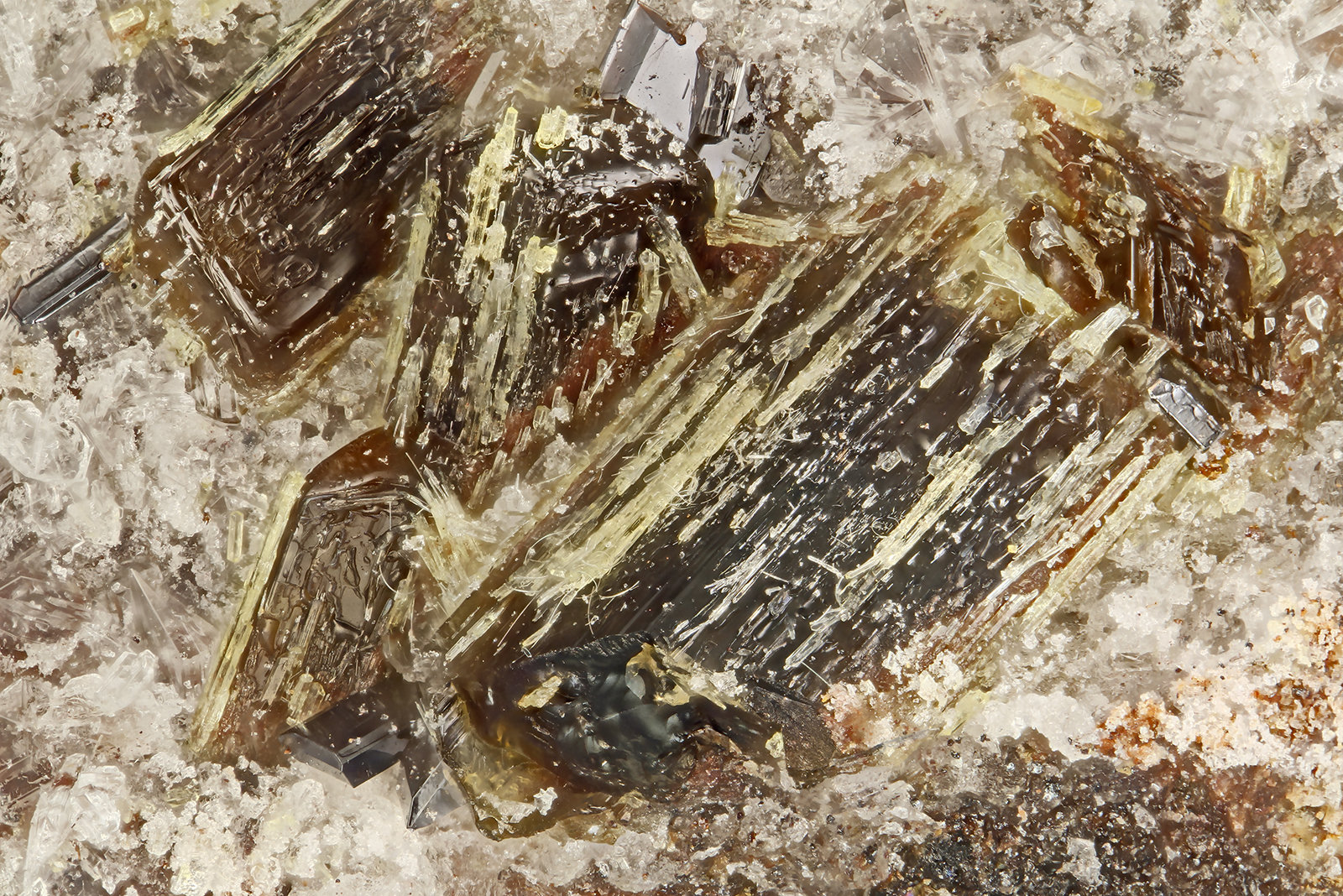 Enstatite, Aegirine
FOV = 1.8 mm
(Autor: Doug)