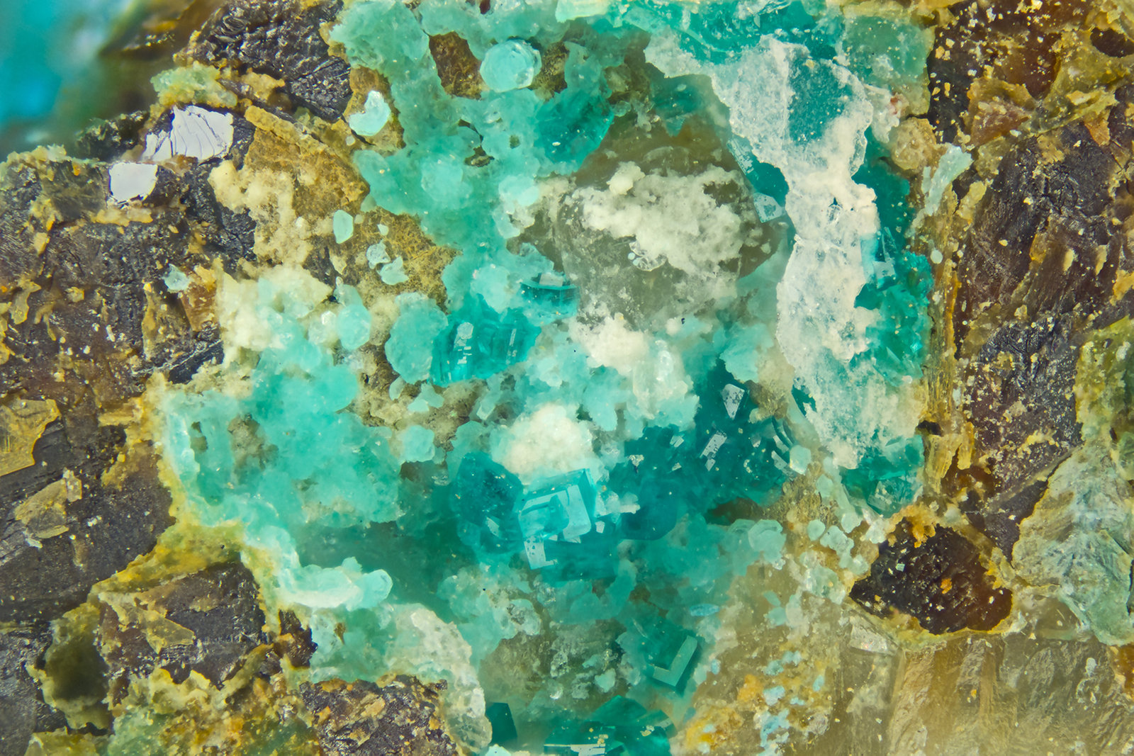 Ramsbeckite
FOV = 2.0 mm
(Autor: Doug)