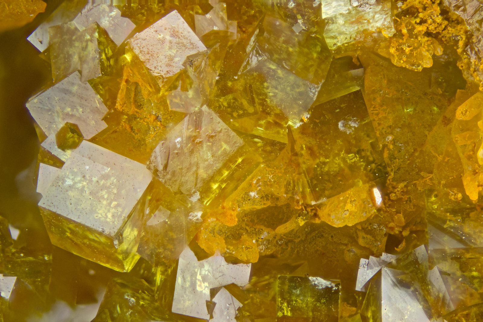 Pharmacosiderite
FOV = 2.0 mm
(Autor: Doug)