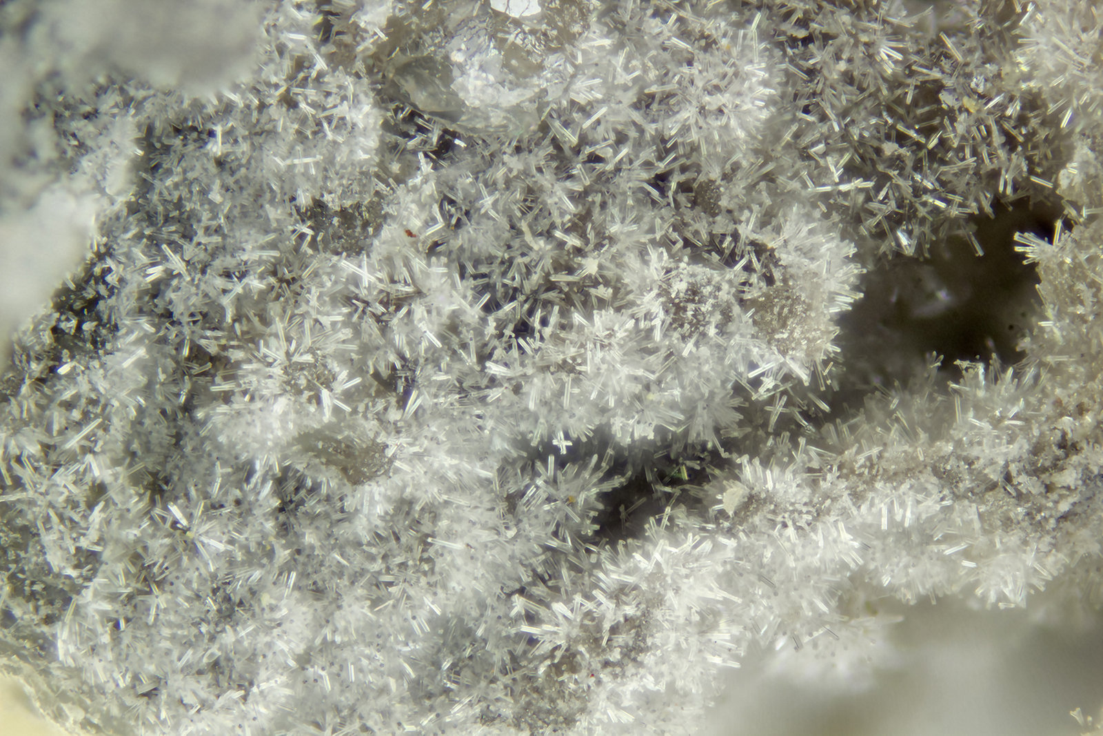 FOV = 2.0 mm
(Autor: Doug)