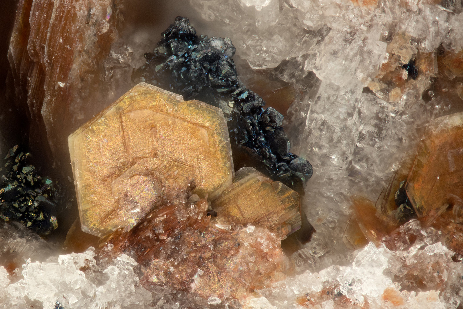 Phlogopite, Hematite
FOV = 1.3 mm
(Autor: Doug)