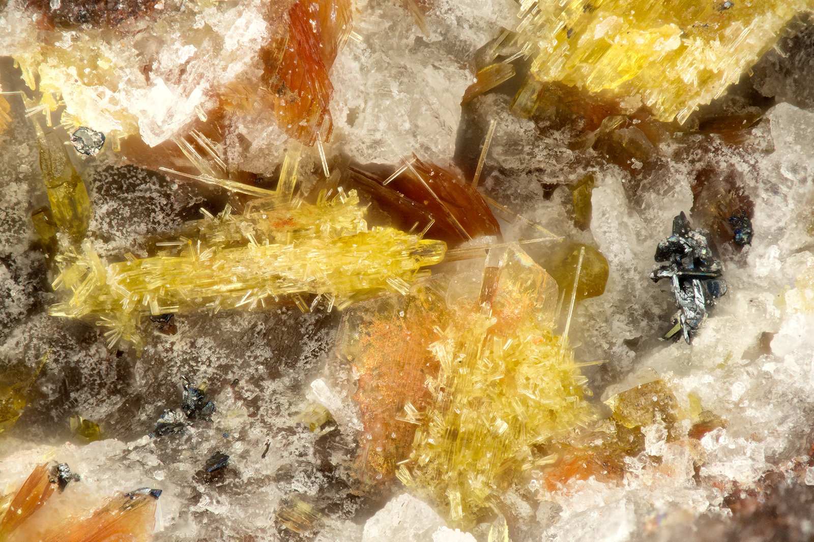 Phlogopite, Aegirine, Hematite
FOV = 1.7 mm
(Autor: Doug)