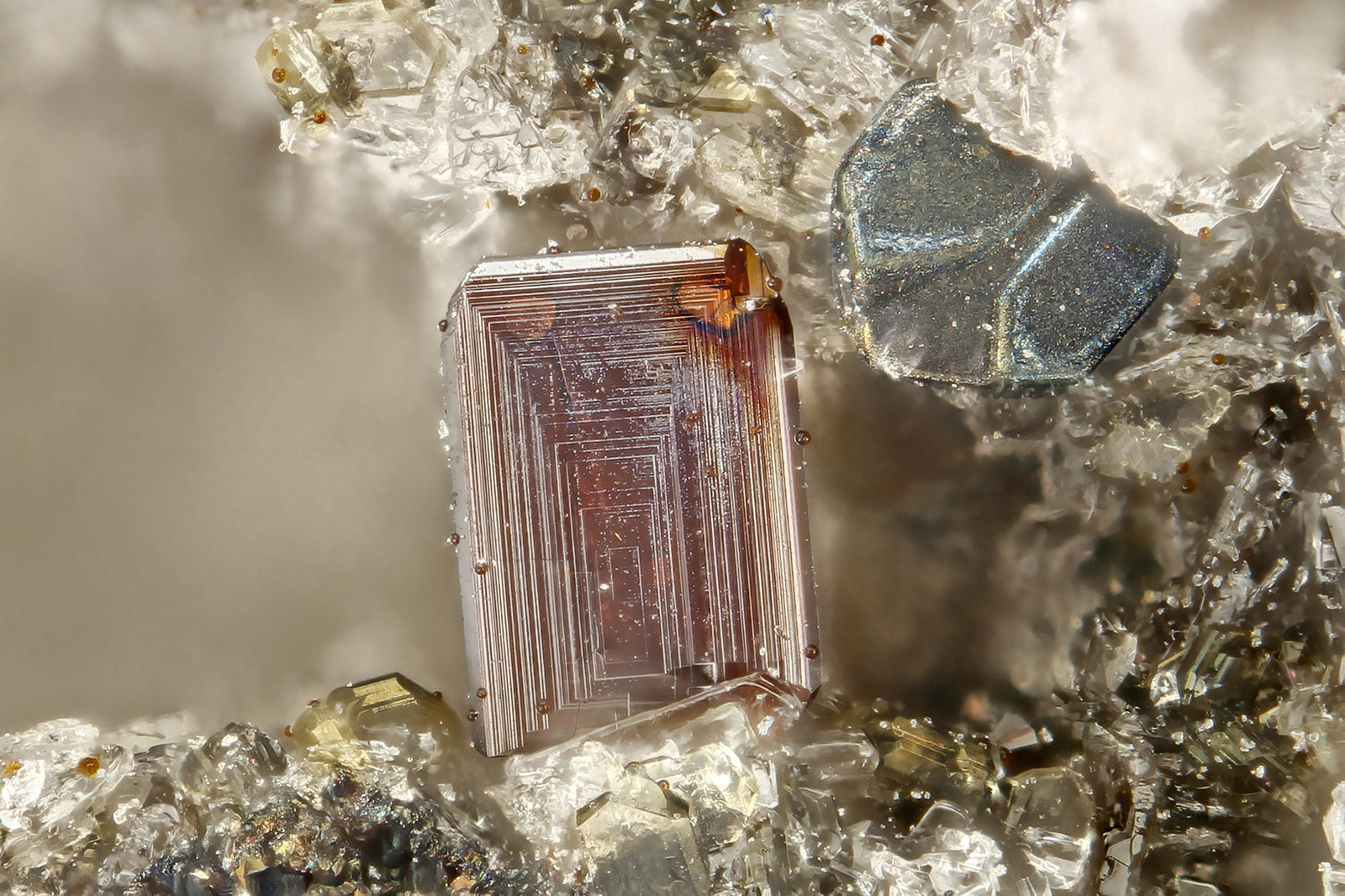 Pseudobrookite
FOV = 0.9 mm
(Autor: Doug)