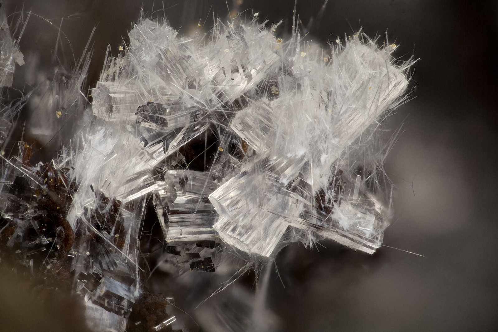 'Stilbite' with Mordenite
FOV = 3.7 mm
(Autor: Doug)