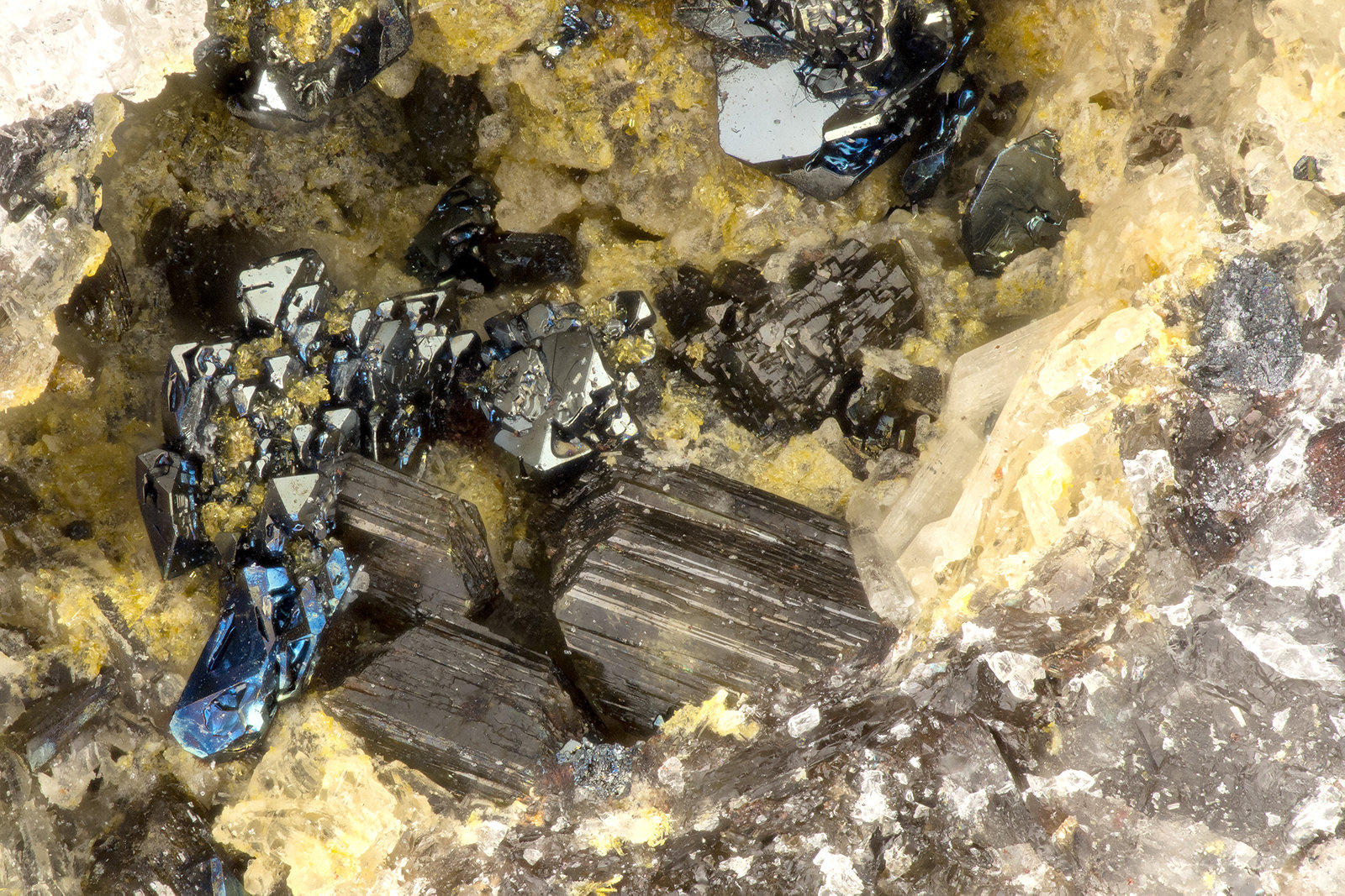 Hematite, Aegirine, Enstatite
FOV = 2.7 mm
(Autor: Doug)