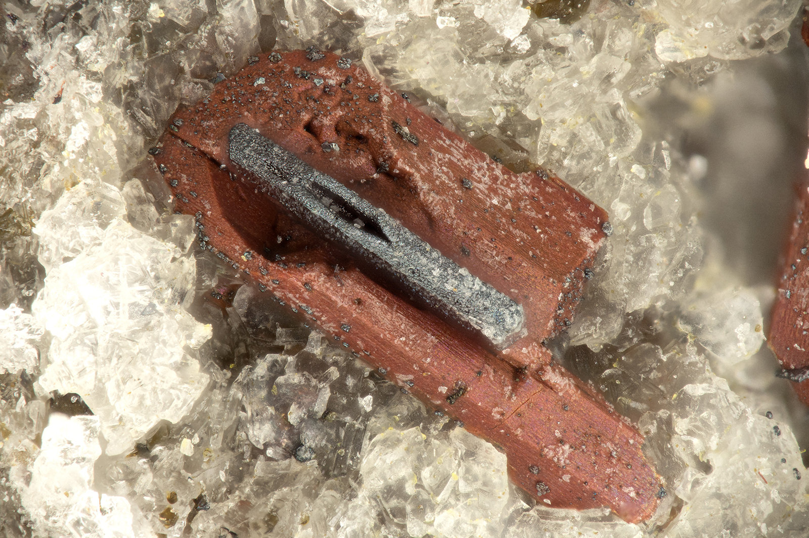 Enstatite, Hematite
FOV = 1.9 mm
(Autor: Doug)