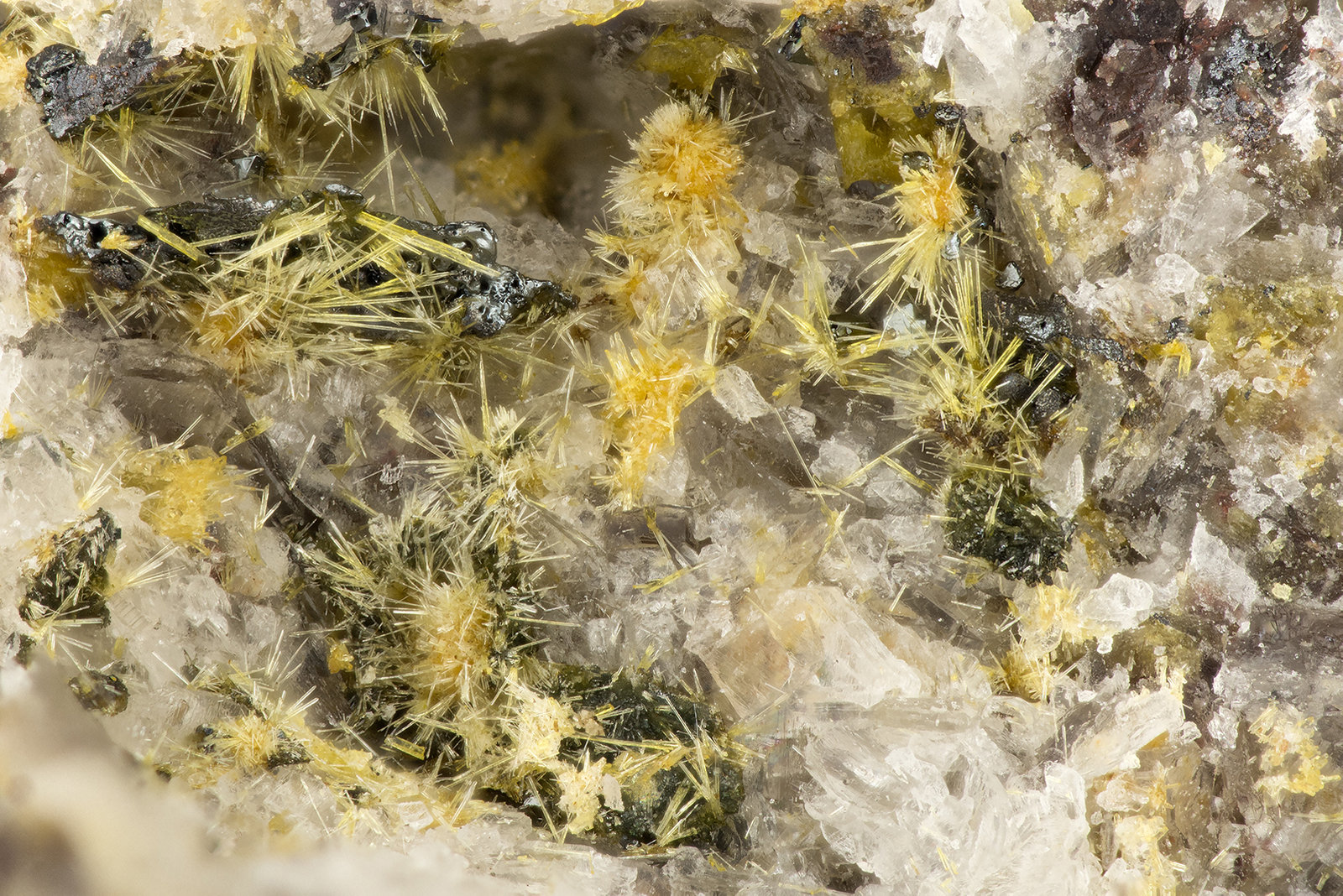 Aegirine, Hematite
FOV = 2.6 mm
(Autor: Doug)
