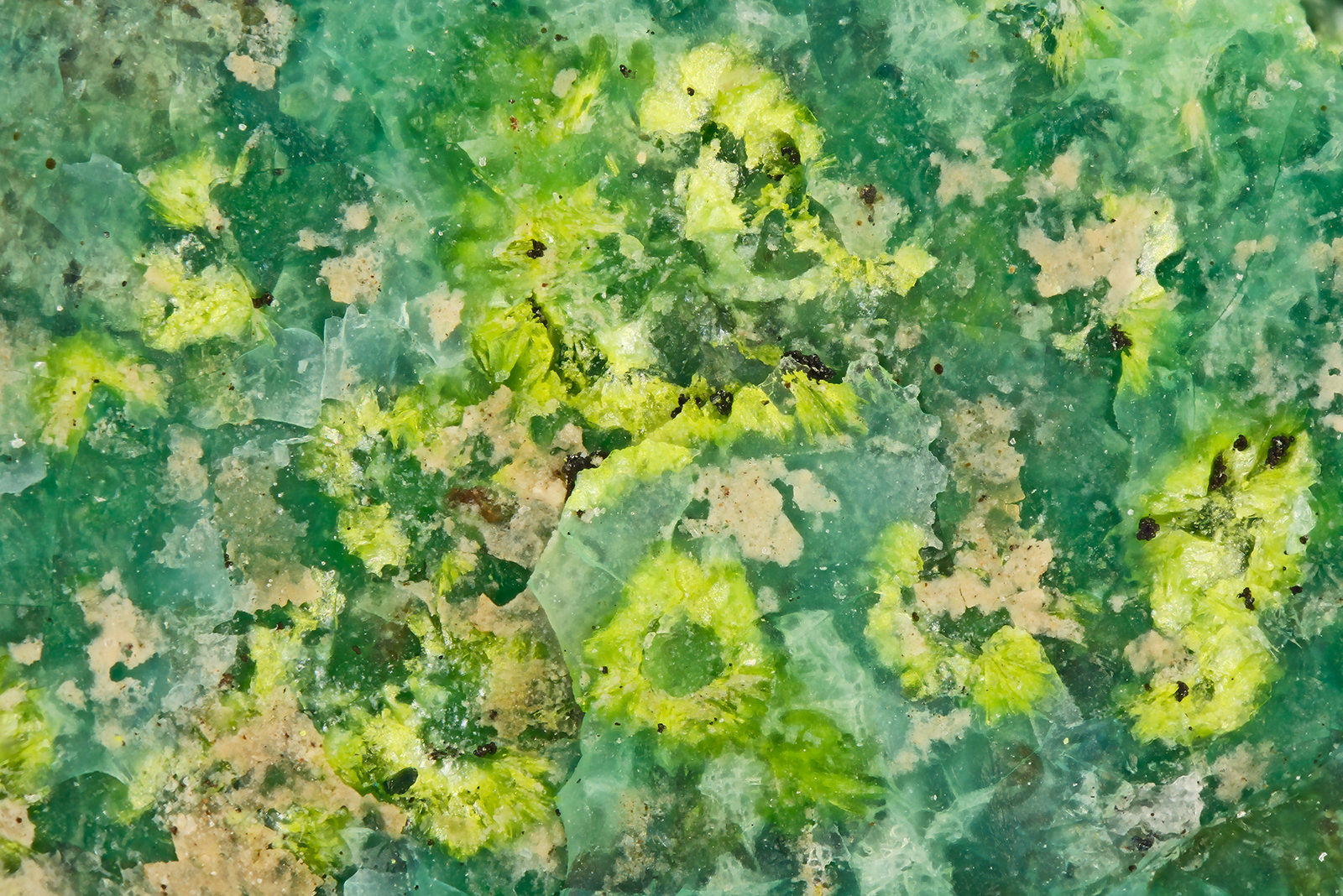 Volborthite
FOV = 1.8 mm
(Autor: Doug)