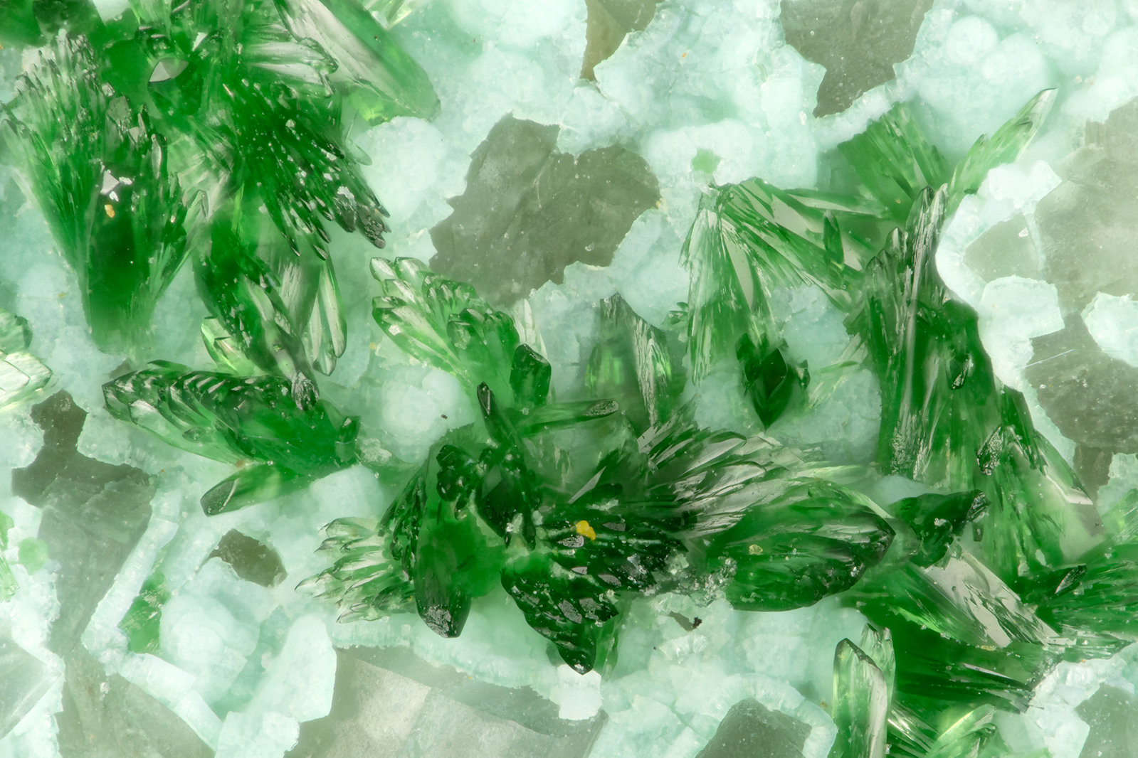 Libethenite
FOV = 1.6 mm
(Autor: Doug)