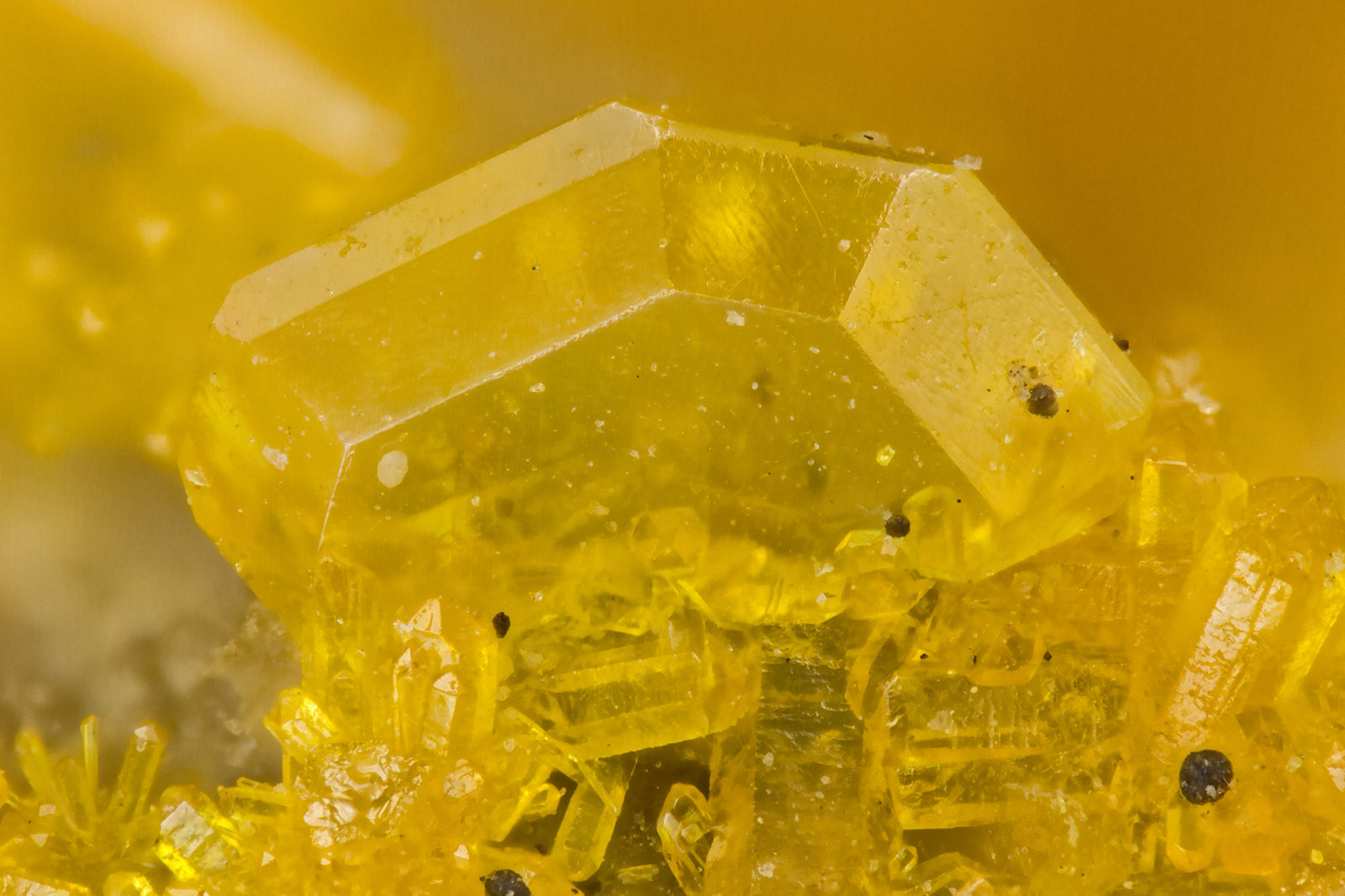 Wulfenite
FOV = 1.1 mm
(Autor: Doug)