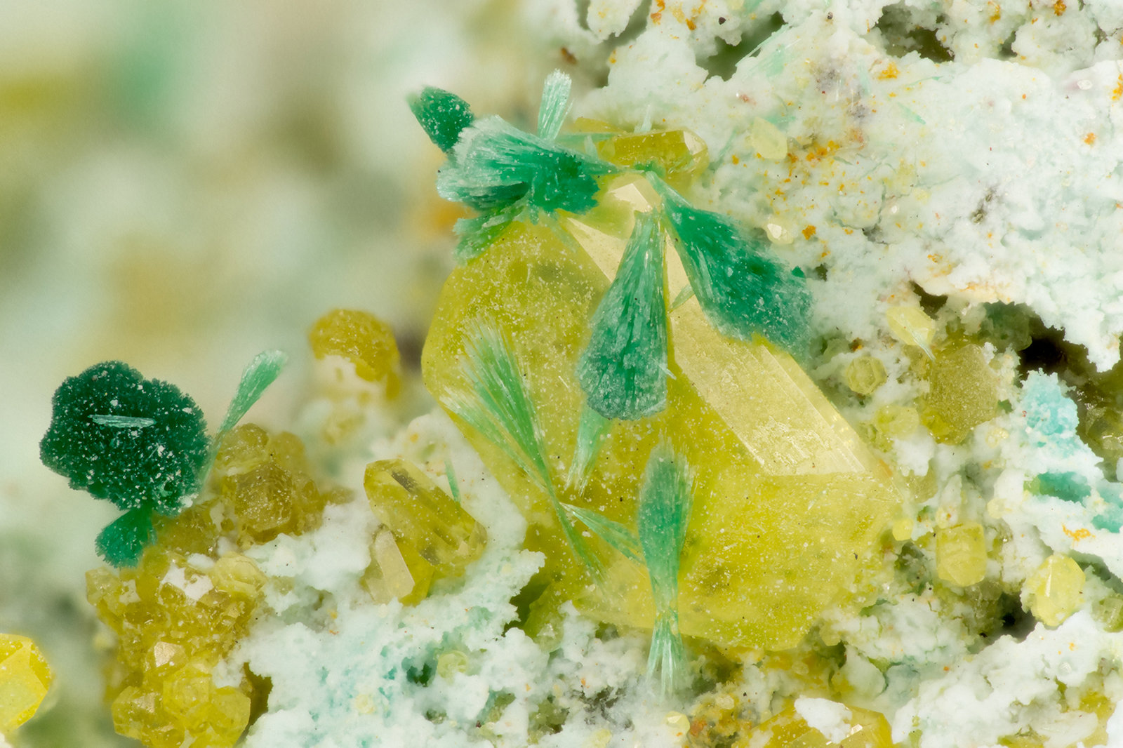 Wulfenite, Malachite
FOV = 2.8 mm
(Autor: Doug)