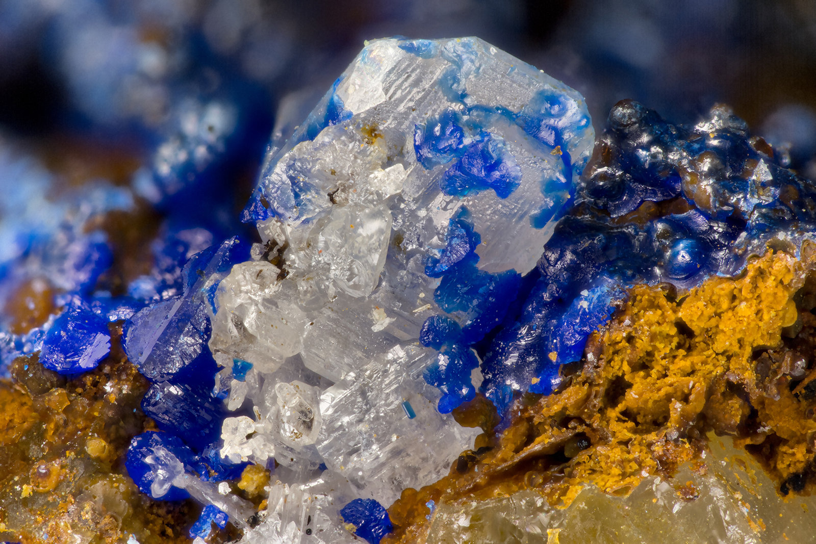 Cerussite, Linarite
FOV = 3.5mm
(Autor: Doug)