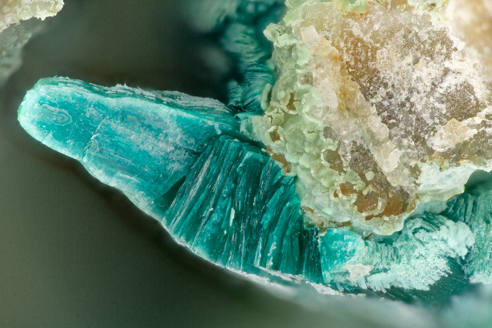 Tyrolite
FOV = 3.6 mm
(Autor: Doug)