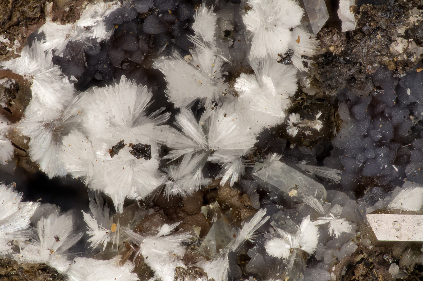 Hemimorphite
FOV = 3.8 mm
(Autor: Doug)