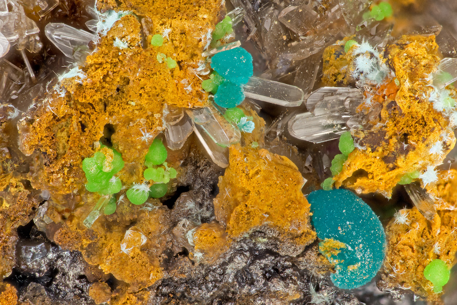 Hemimorphite, Rosasite
FOV = 3.5 mm
(Autor: Doug)