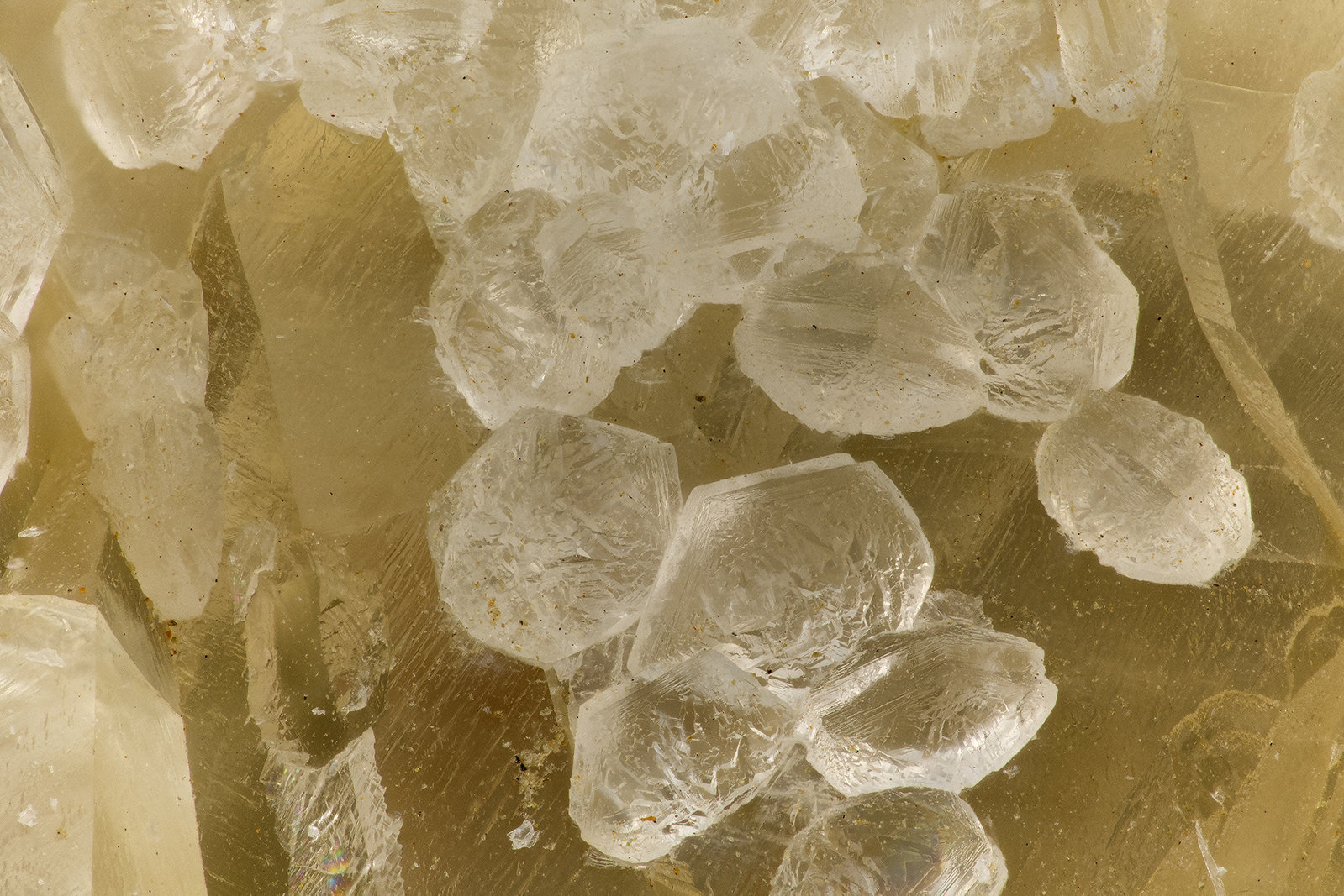 'Chabazite' on Calcite
FOV = 3.3 mm
(Autor: Doug)