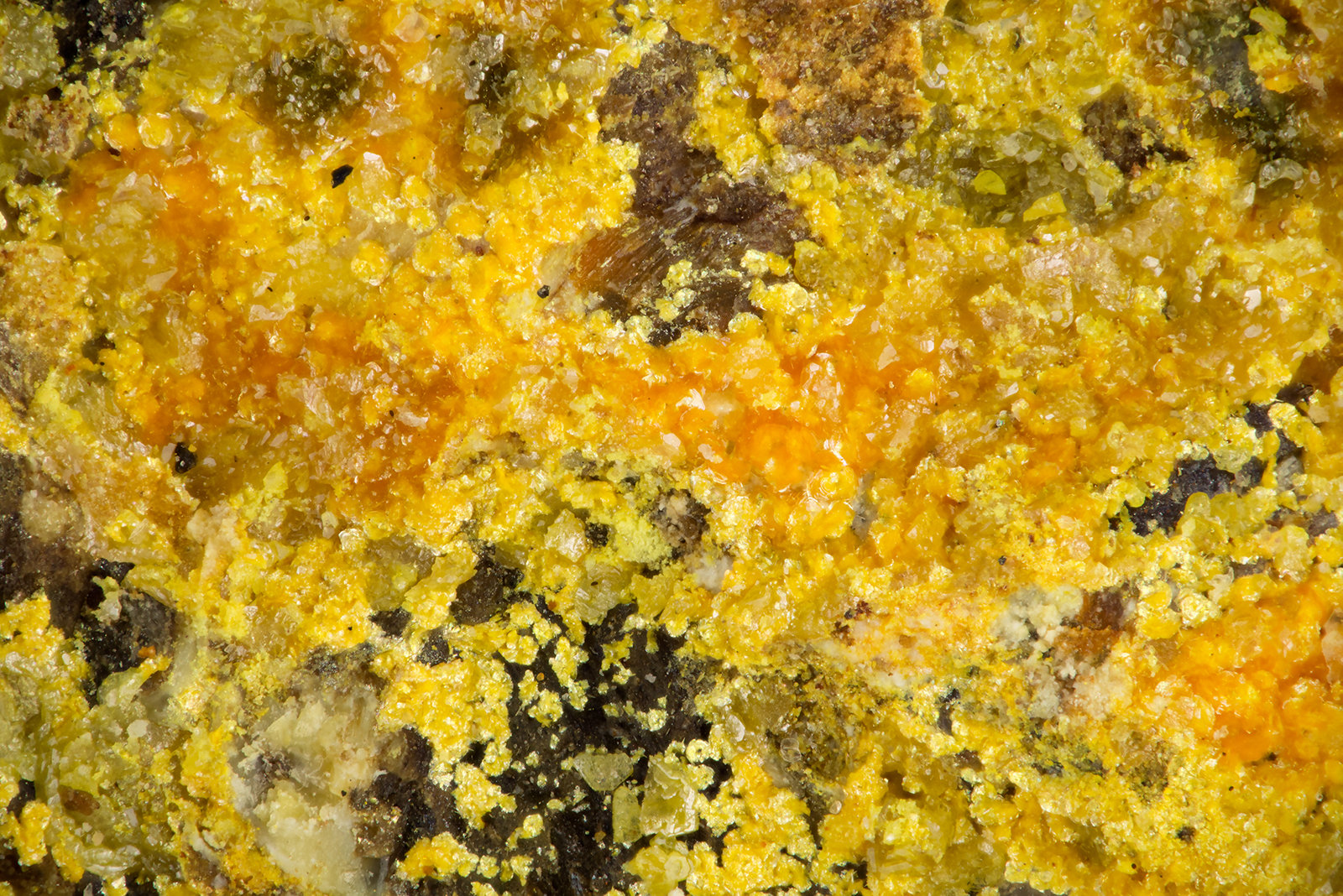 Clinobisvanite
FOV = 1.8 mm
(Autor: Doug)