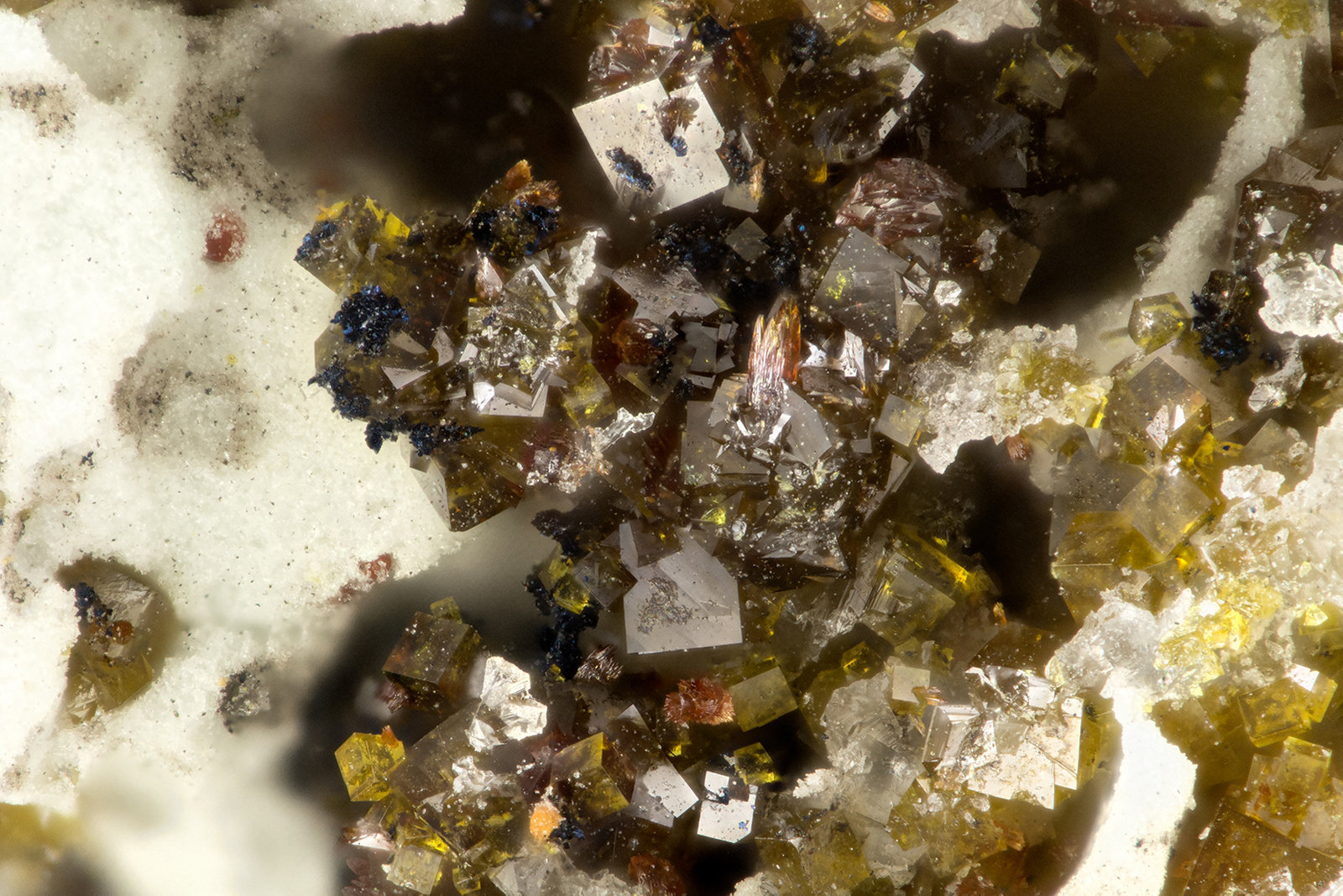 Pharmacosiderite, Carminite
FOV = 1.3 mm
(Autor: Doug)