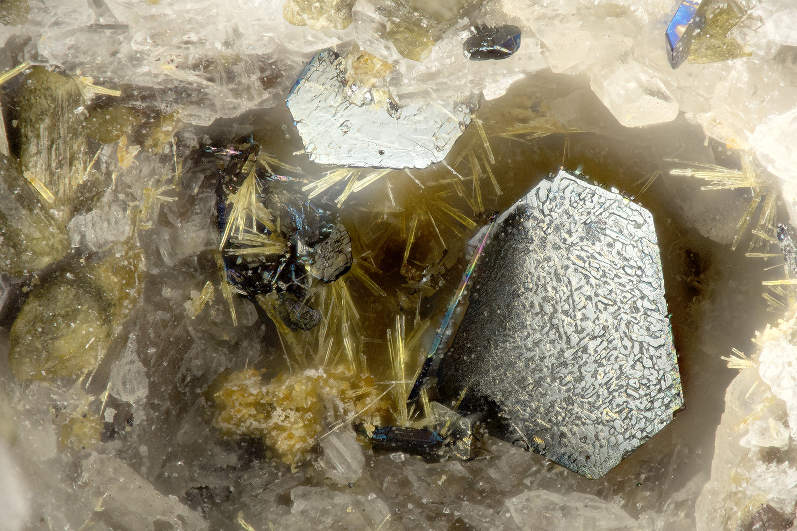 Hematite, Aegirine
FOV = 1.7 mm
(Autor: Doug)