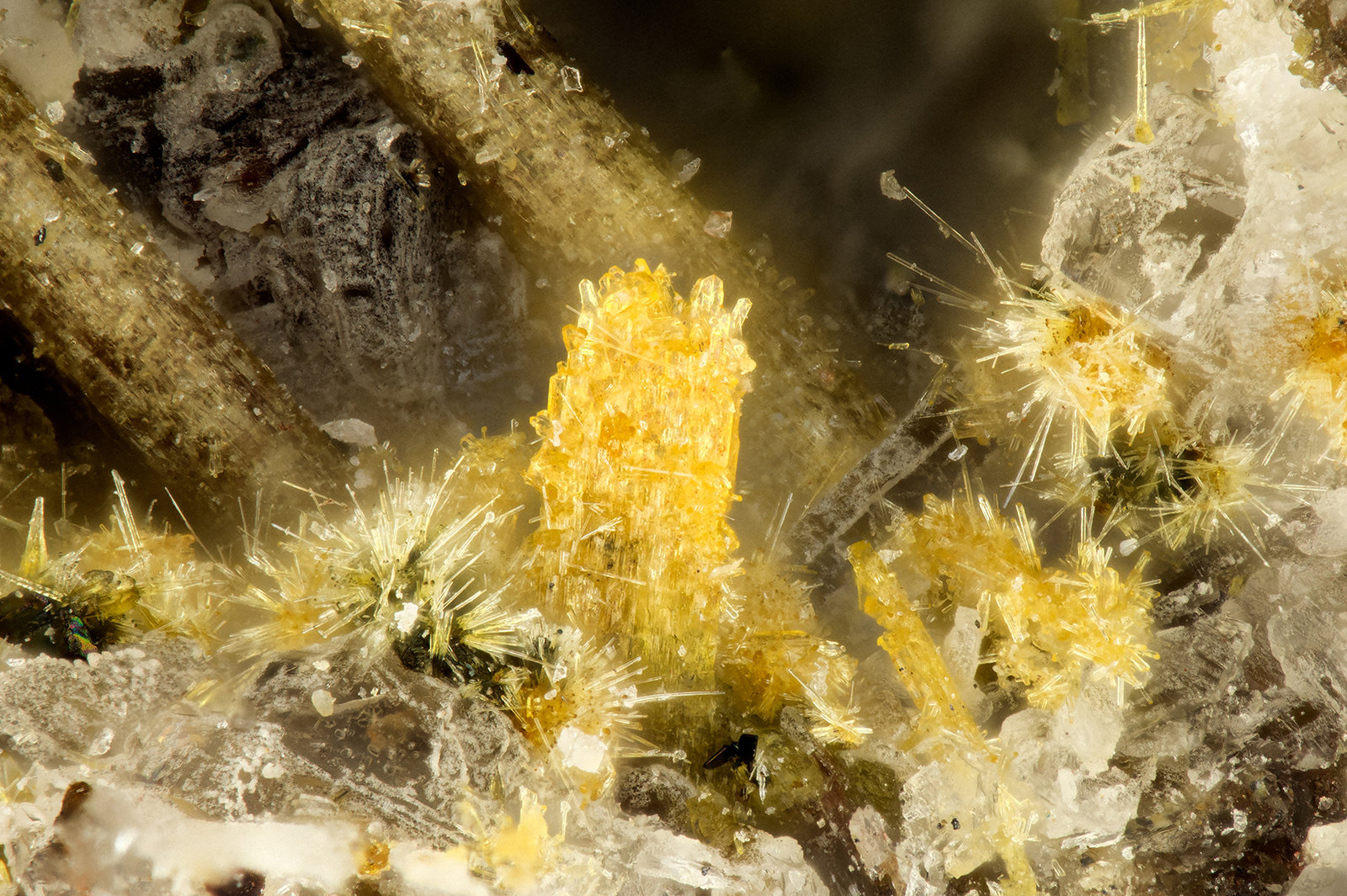 Aegirine
FOV = 1.3 mm
(Autor: Doug)