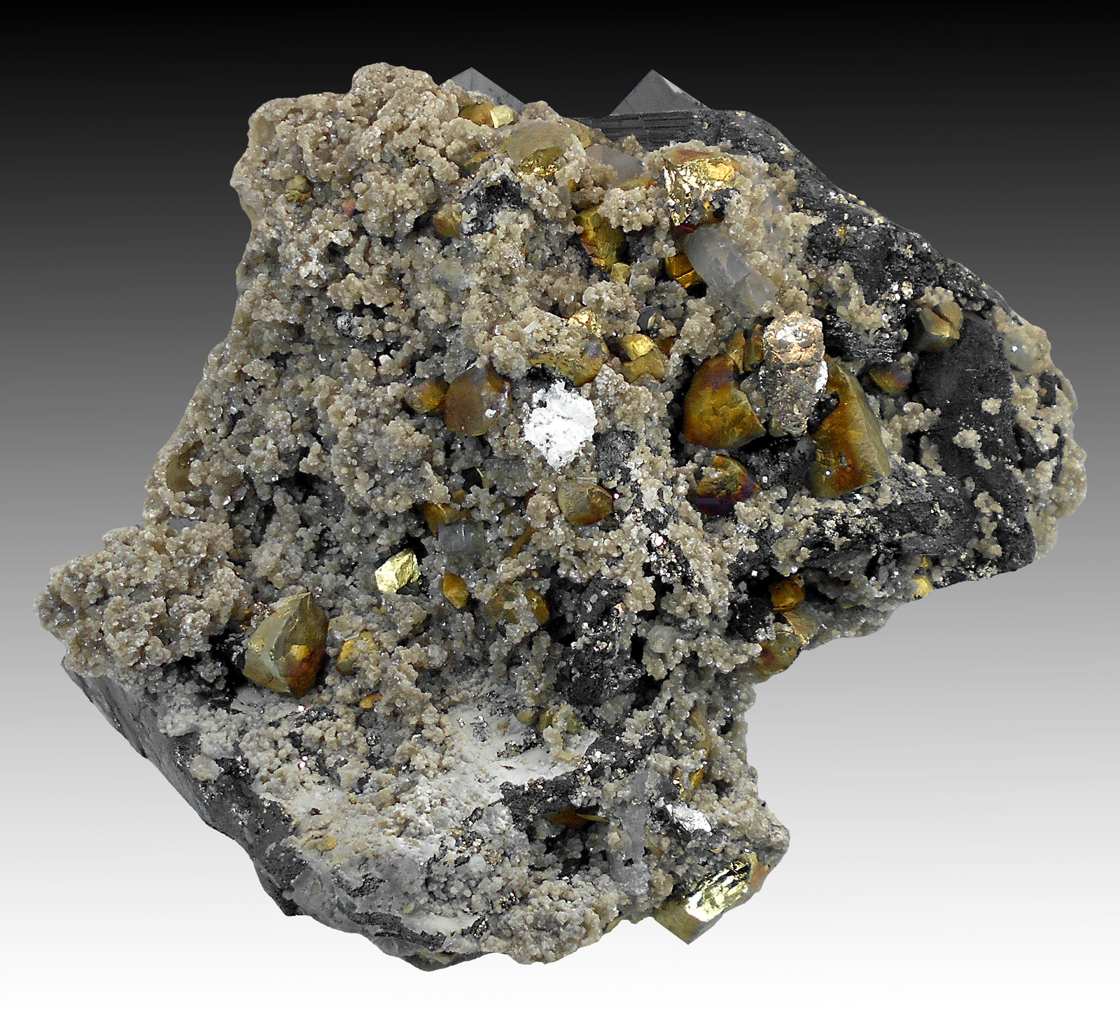 Ferberite, Chalcopyrite, Pyrite, Muscovite
14 cm x 10 cm x 10 cm
(Autor: silvia)