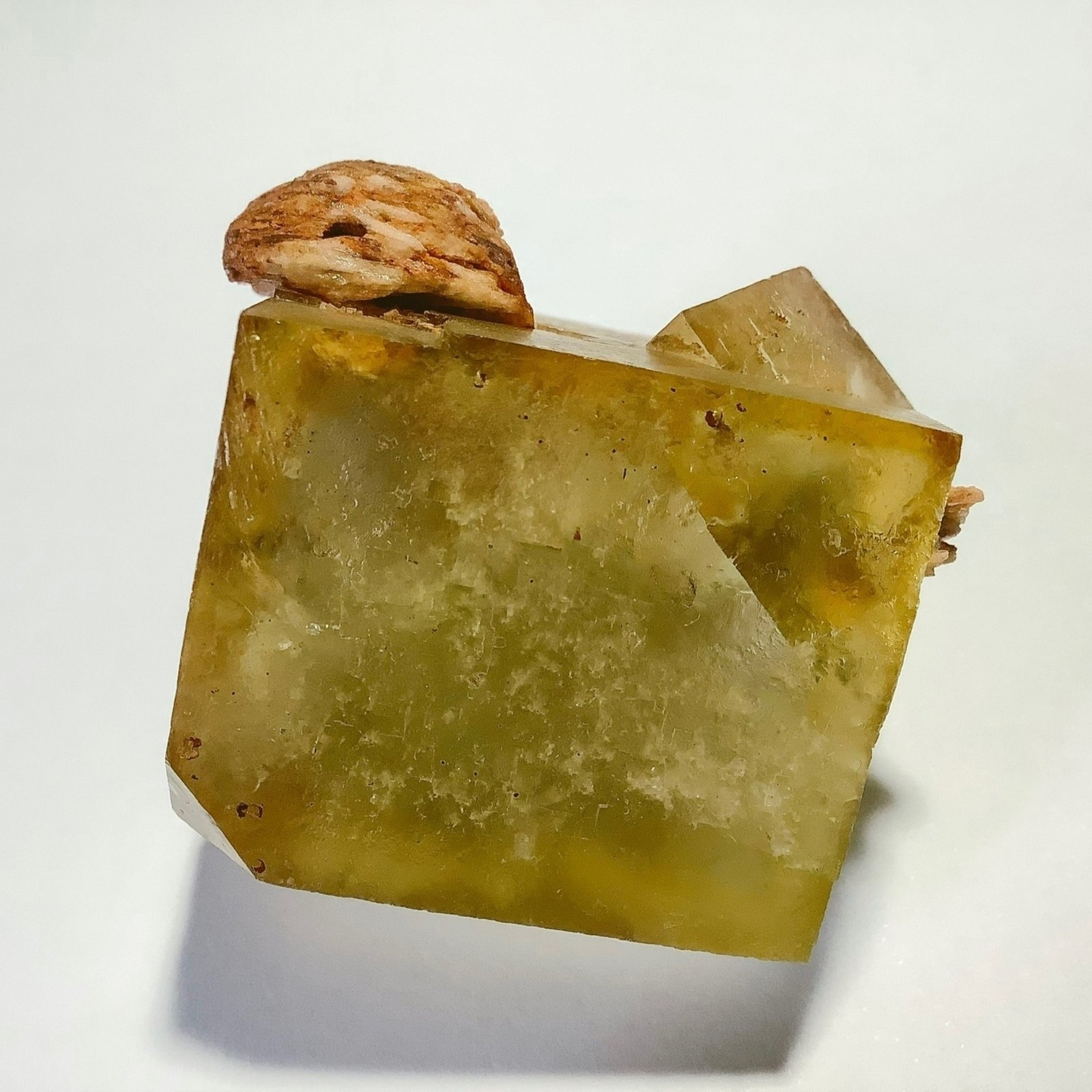 Fluorite and Baryte
47x38x34mm
(Autor: david916)