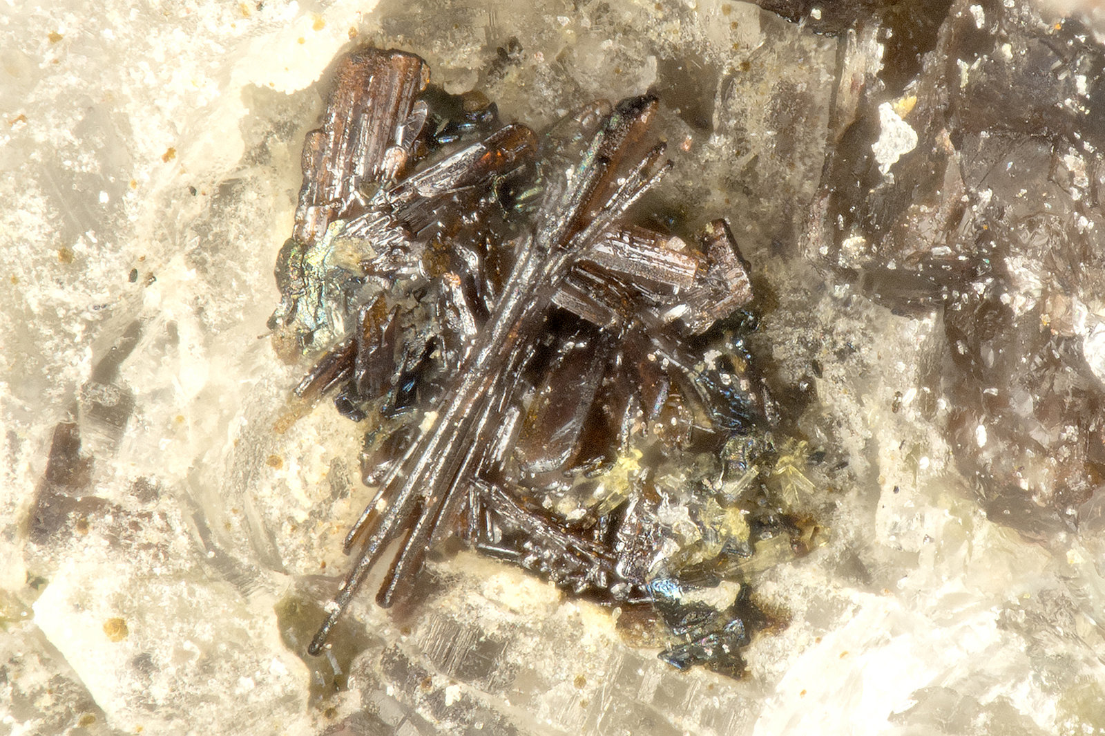 Pseudpbrookite
FOV = 0.8 mm
(Autor: Doug)