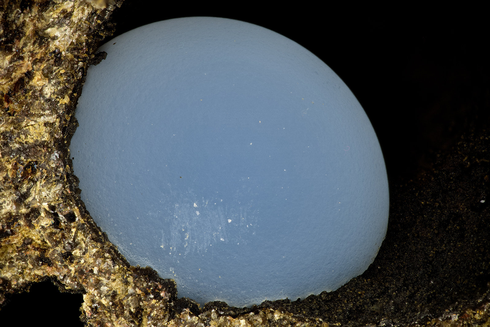 'Thomsonite'
FOV = 3.7 mm
(Autor: Doug)