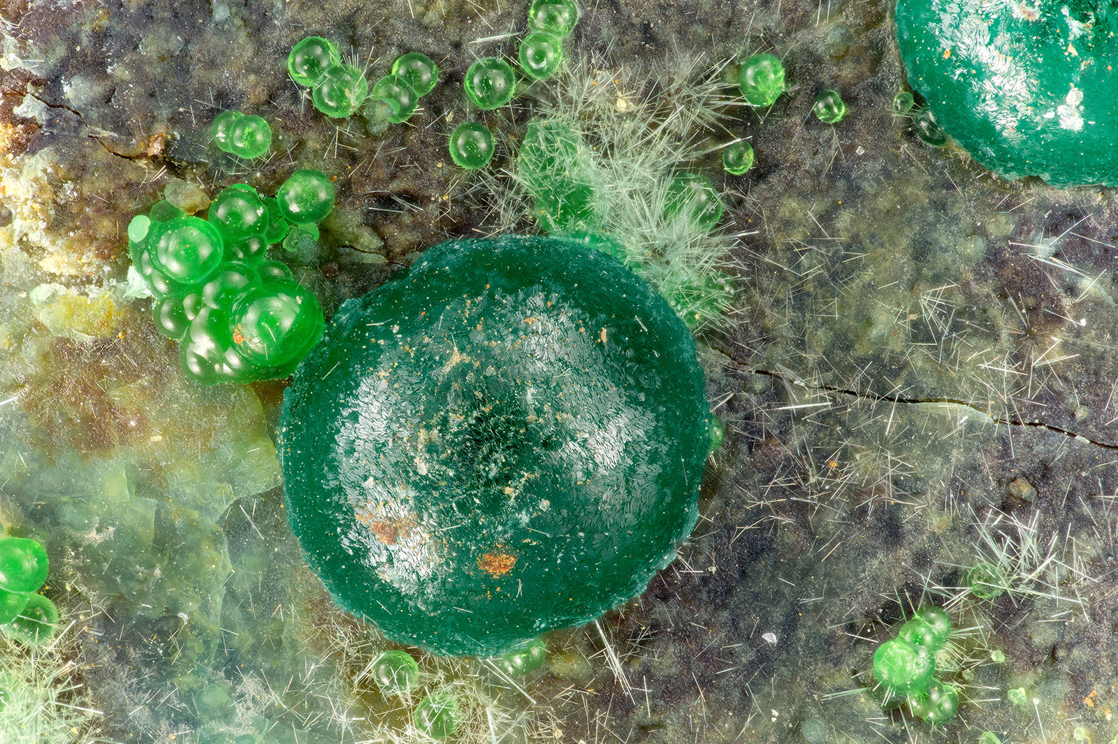 Cornwallite
FOV = 3.1 mm
(Autor: Doug)