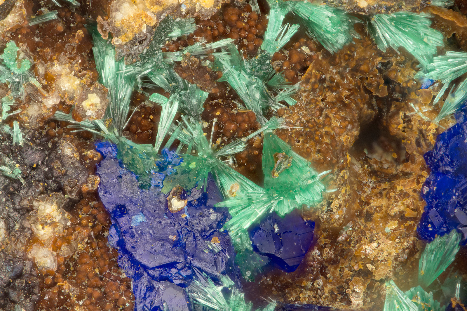 Malachite, Azurite
FOV = 1.7 mm
(Autor: Doug)