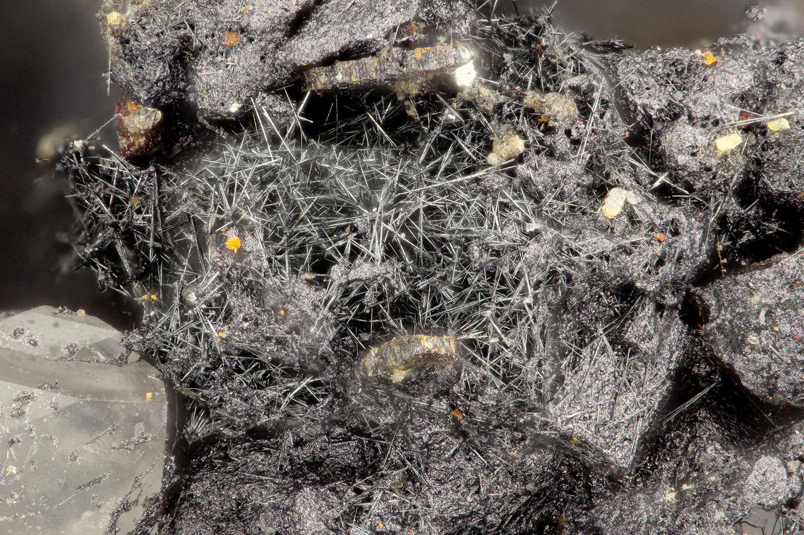 Coronadite
FOV = 1.4 mm
(Autor: Doug)