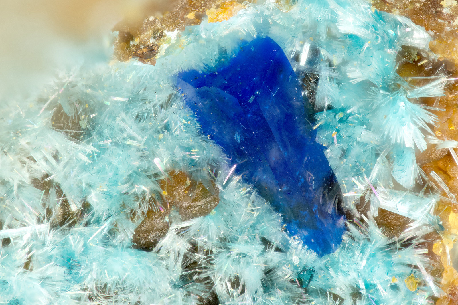 Linarite, Serpierite
FOV = 1.3 mm
(Autor: Doug)