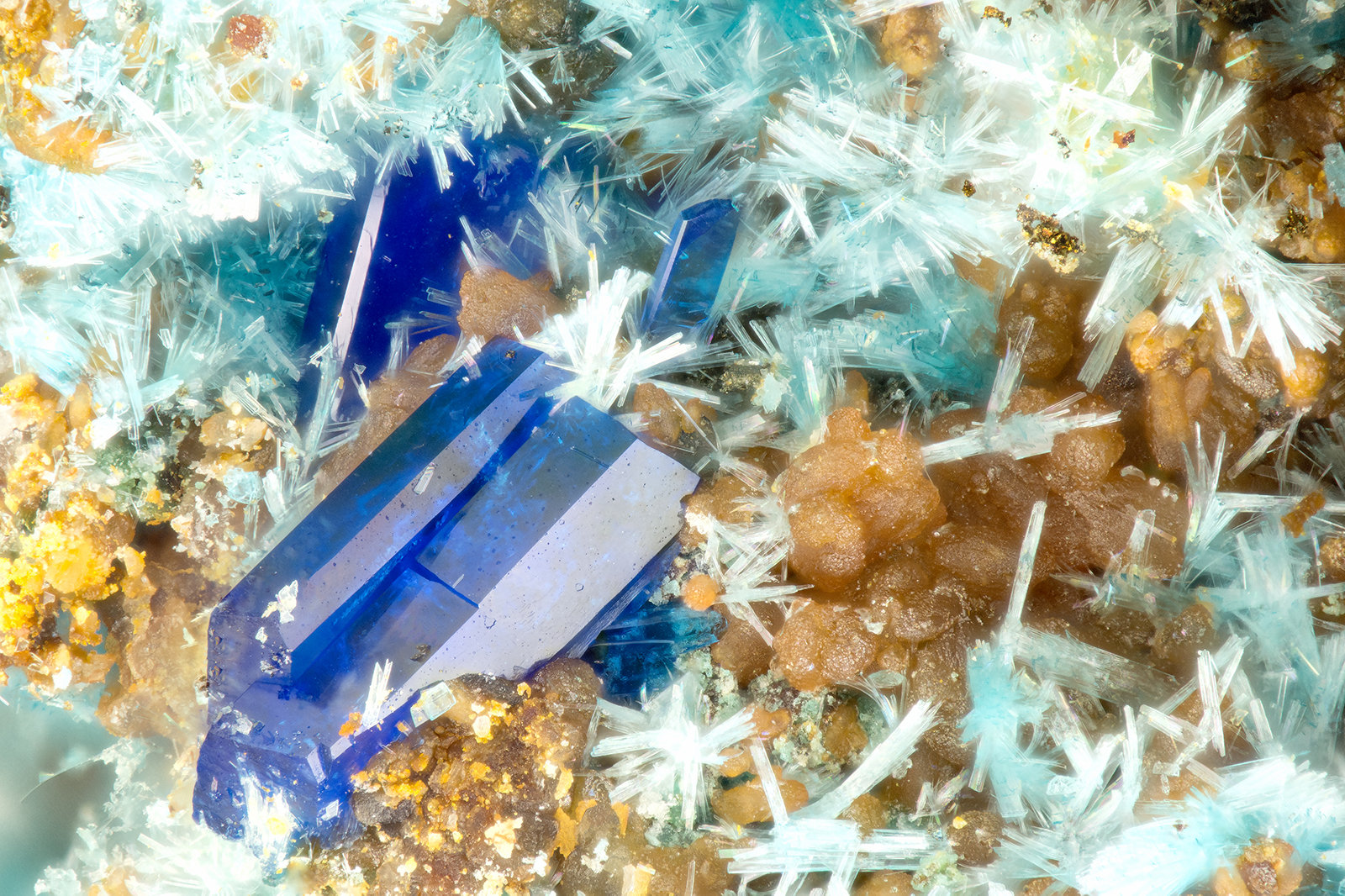 Linarite, Serpierite
FOV = 1.6 mm
(Autor: Doug)