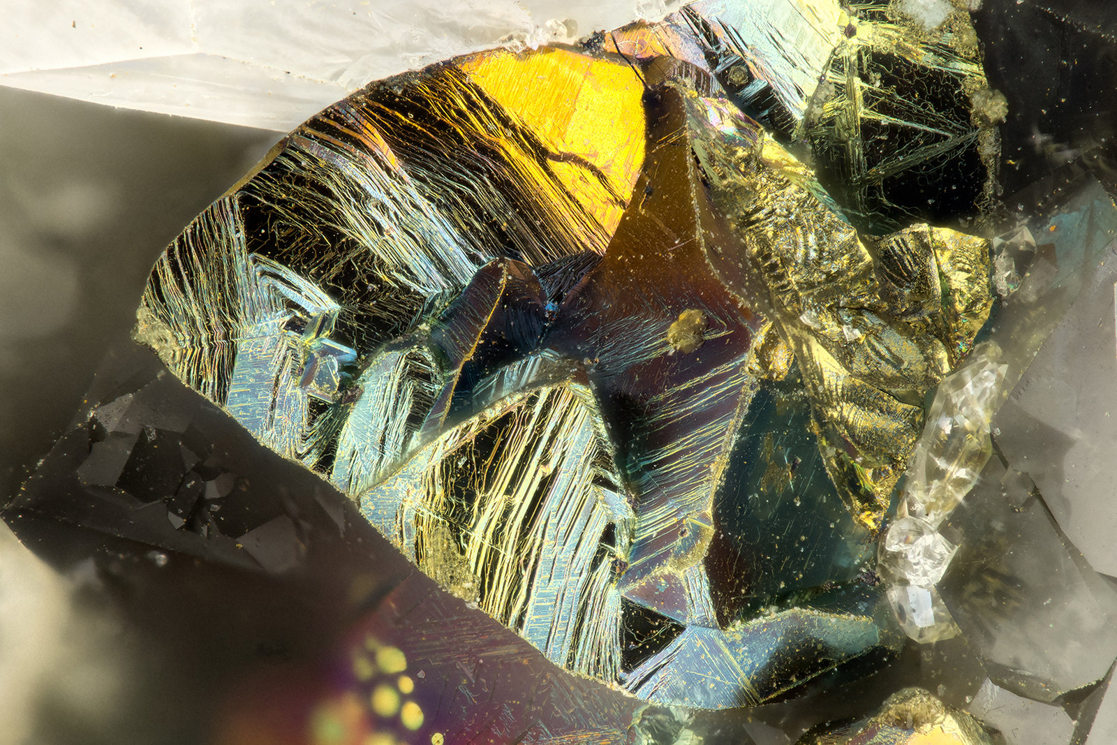 Chalcopyrite
FOV = 1.4 mm
(Autor: Doug)