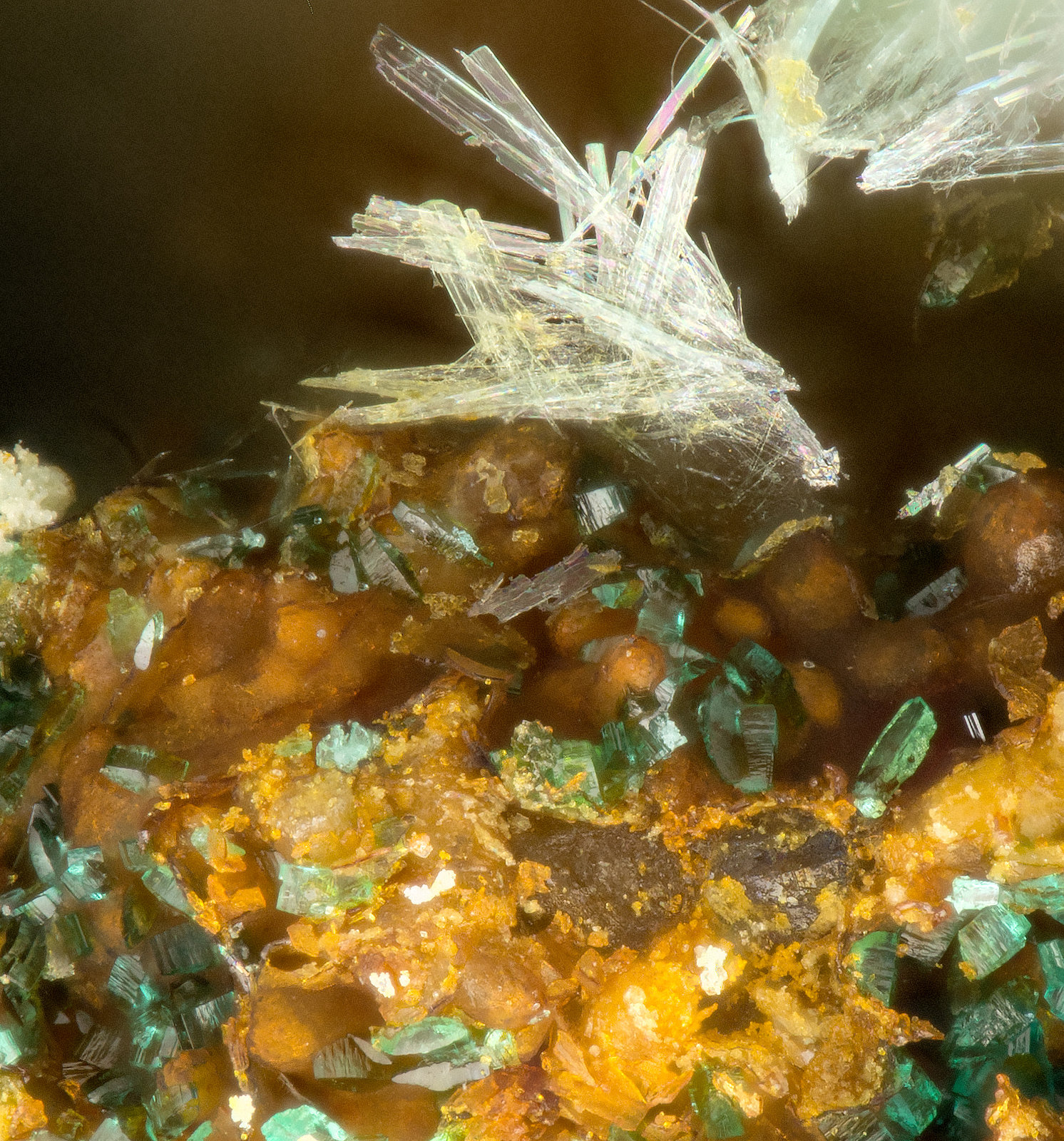 Serpierite, Brochantite
FOV = 0.7 mm
(Autor: Doug)