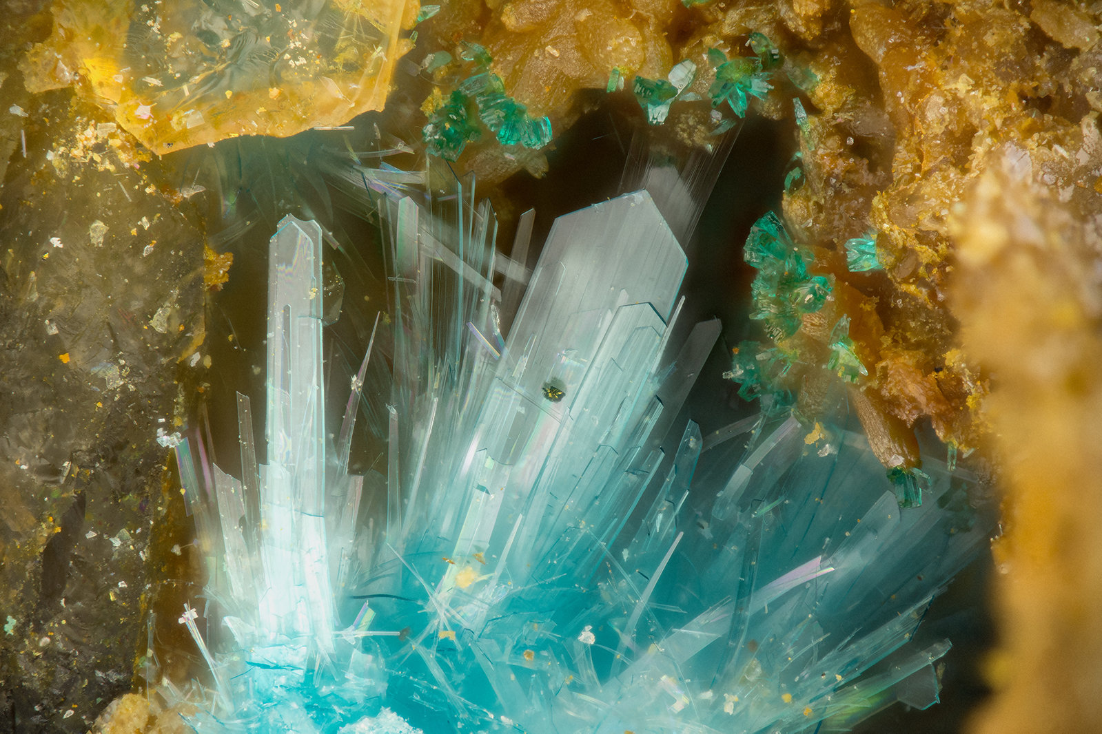 Serpierite, Brochantite
FOV = 1.7 mm
(Autor: Doug)