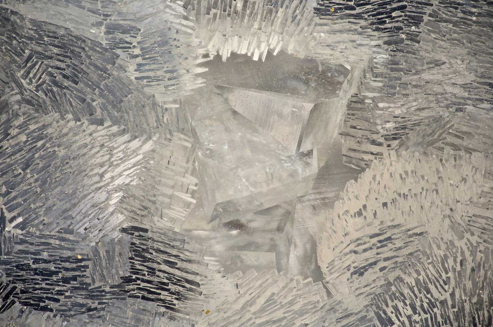 'Thomsonite' with 'Chabazite'
FOV = 3.7 mm
(Autor: Doug)
