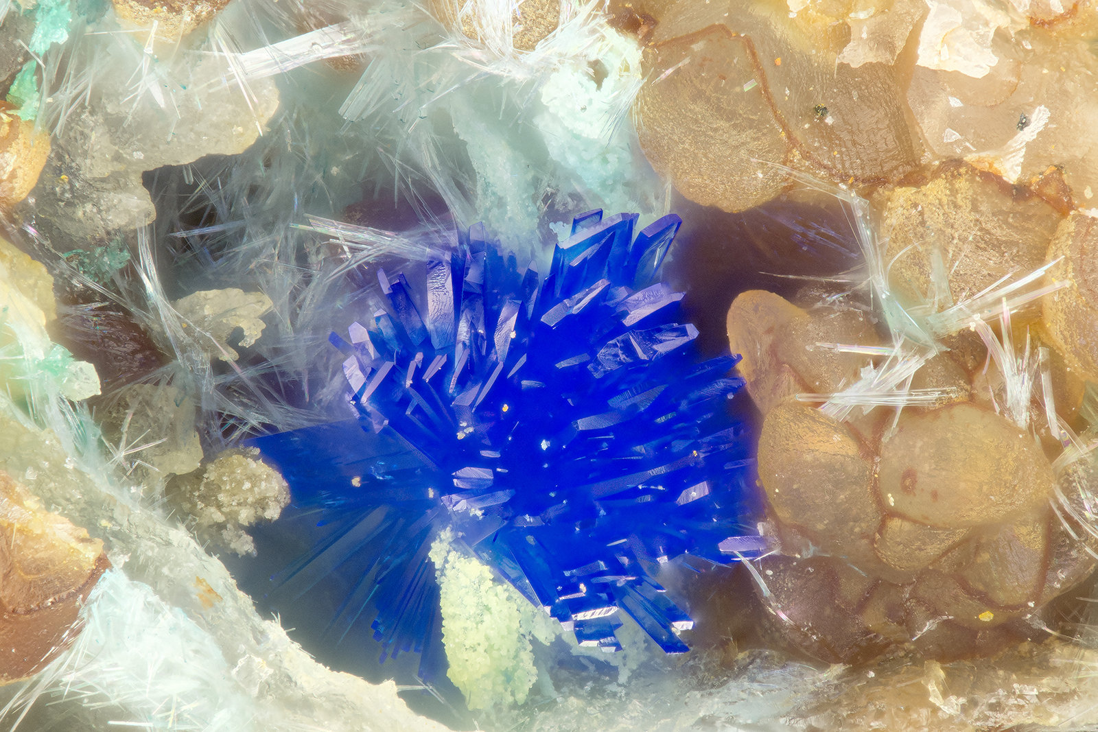 Linarite
FOV = 1.5 mm
(Autor: Doug)