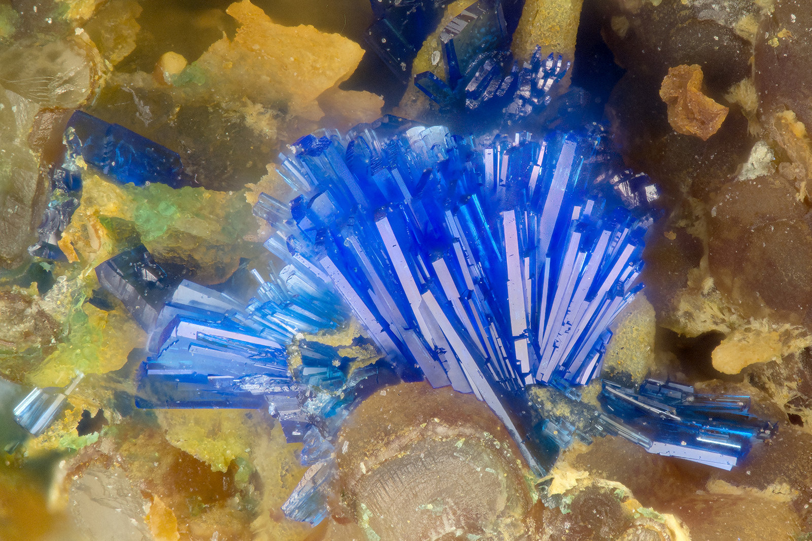 Linarite
FOV = 1.5 mm
(Autor: Doug)
