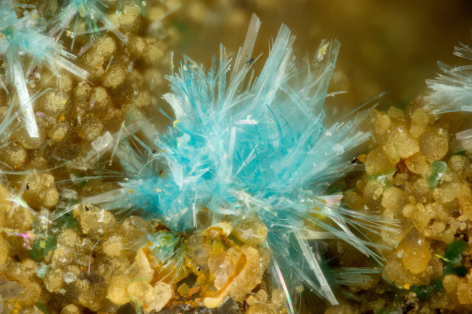 Serpierite
FOV = 1.7 mm
(Autor: Doug)