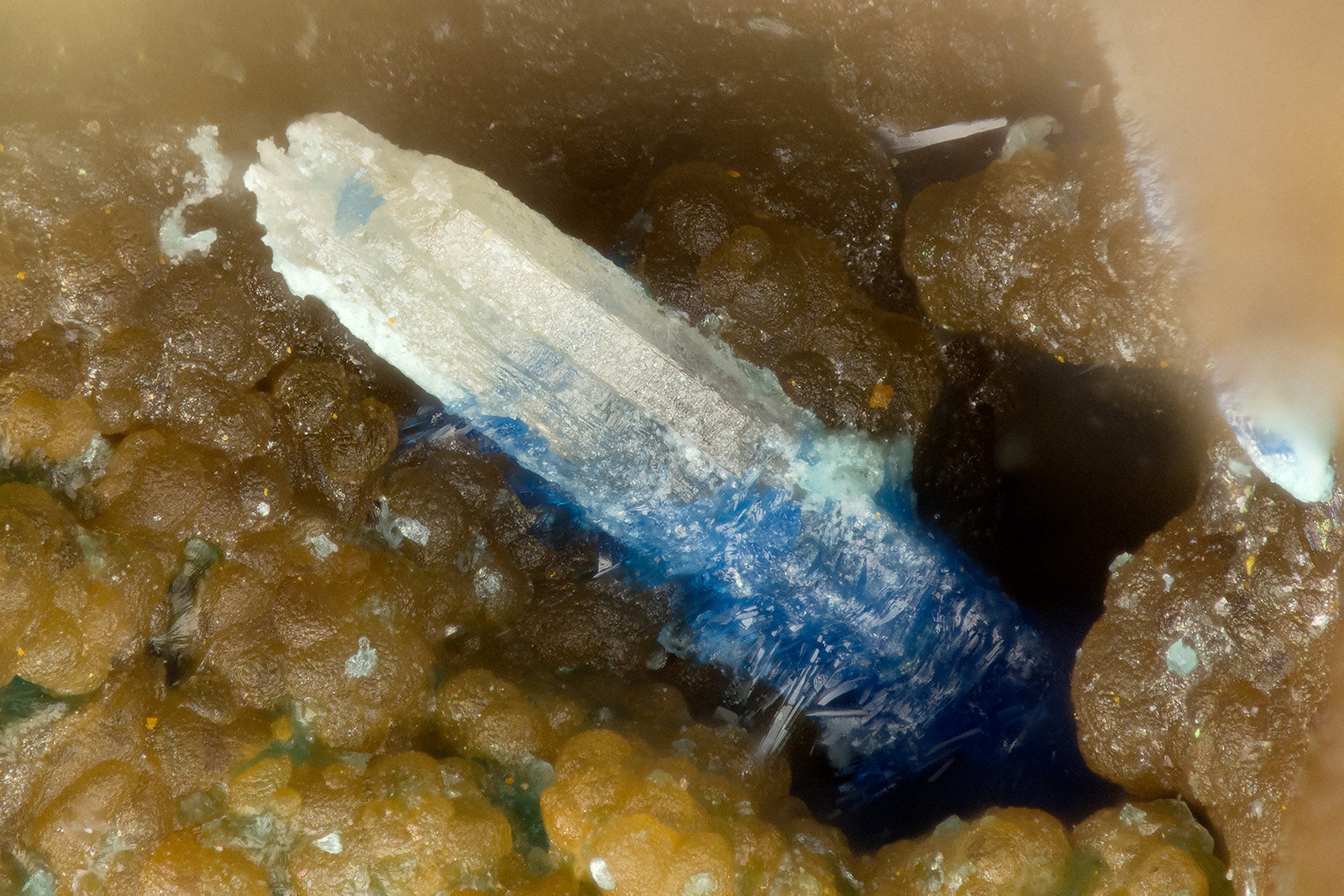 Cerussite, Linarite
FOV = 1.1 mm
(Autor: Doug)