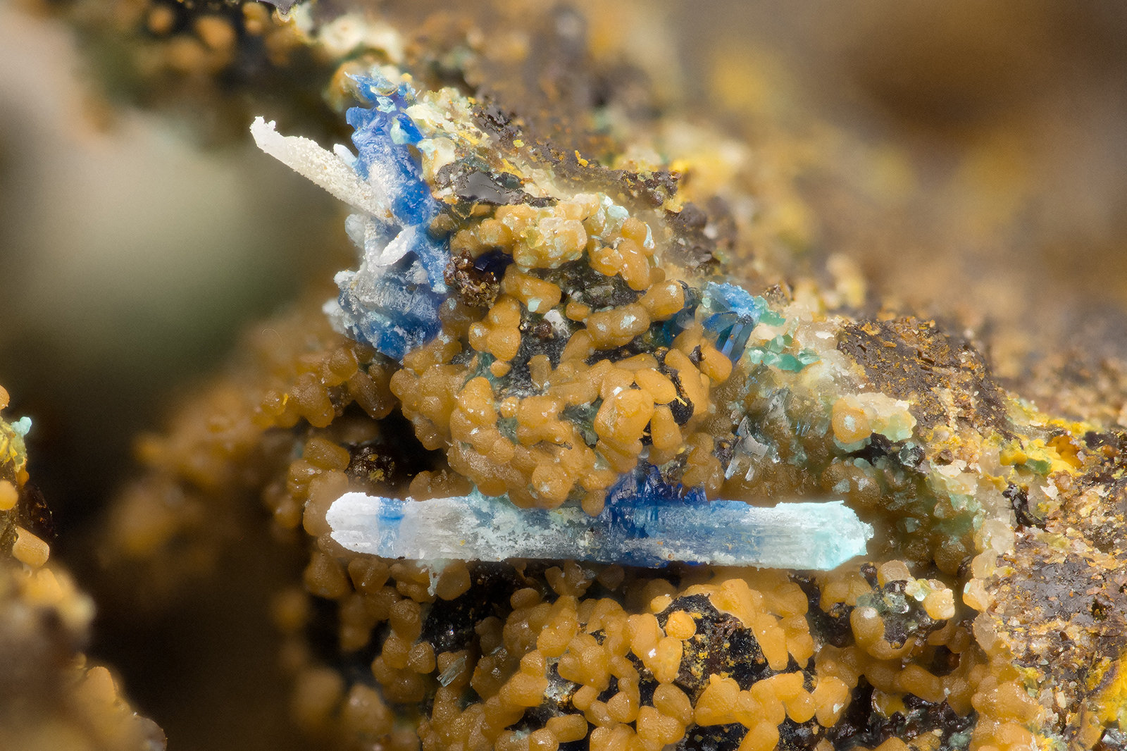 Cerussite, Linarite
FOV = 2.6 mm
(Autor: Doug)